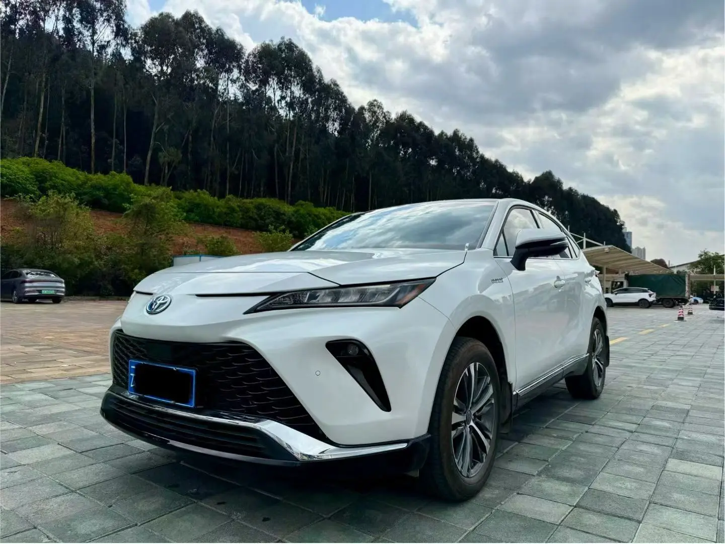 Toyota Venza