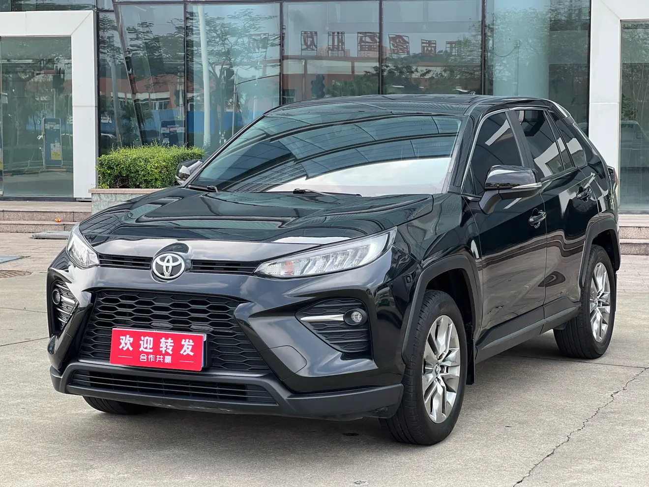 Toyota Willanda