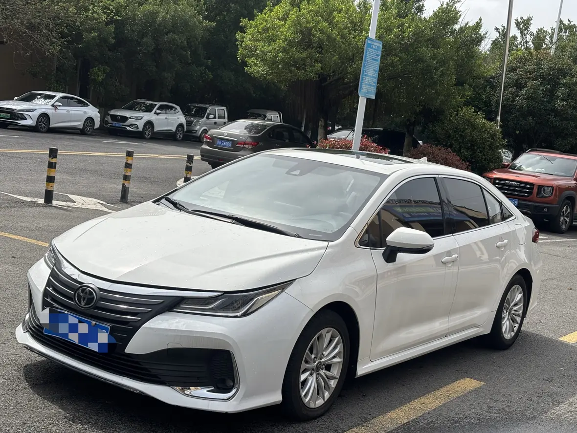 Toyota Asiatic lion