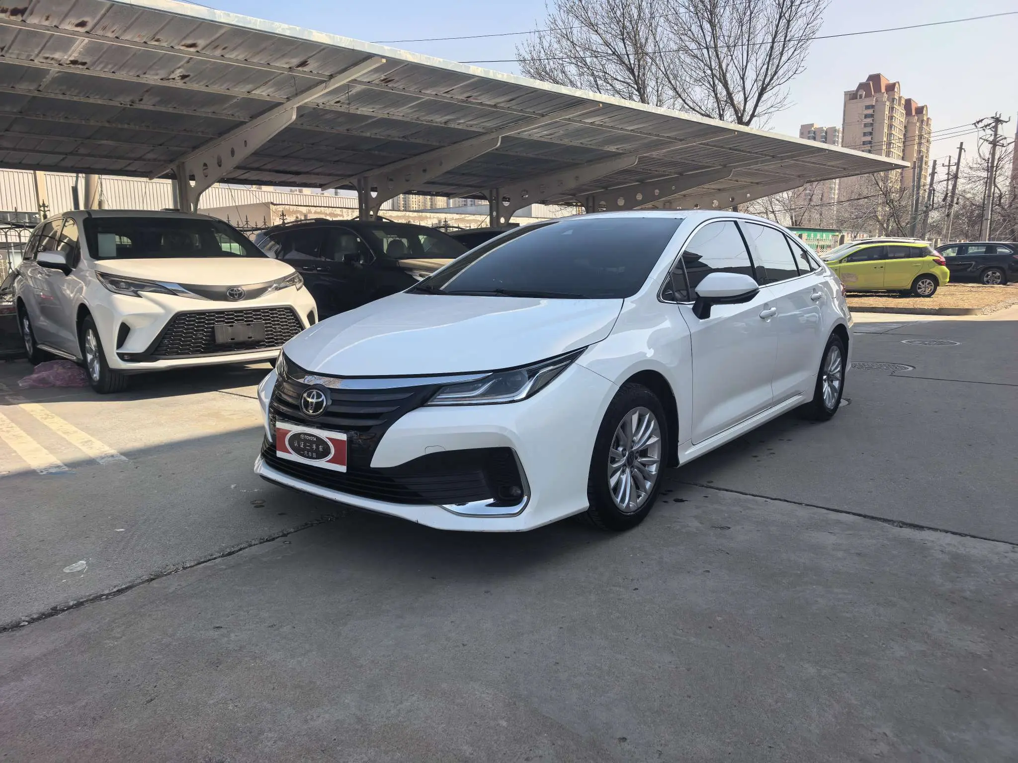 Toyota Asiatic lion