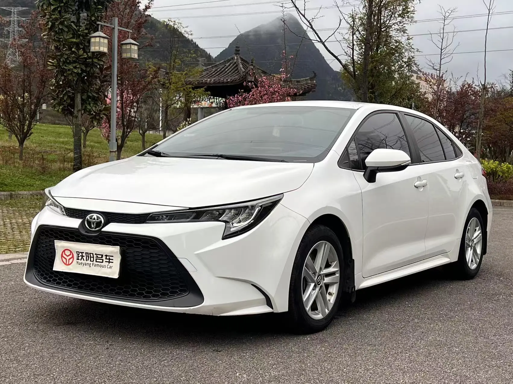 Toyota Levin