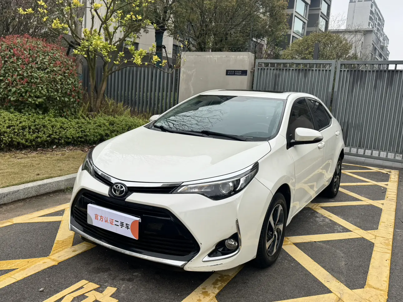 Toyota Levin
