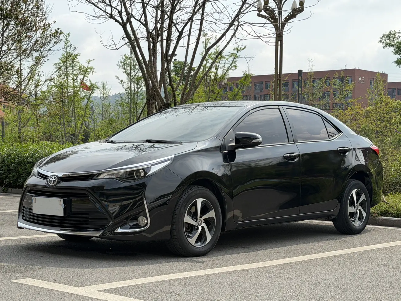 Toyota Levin