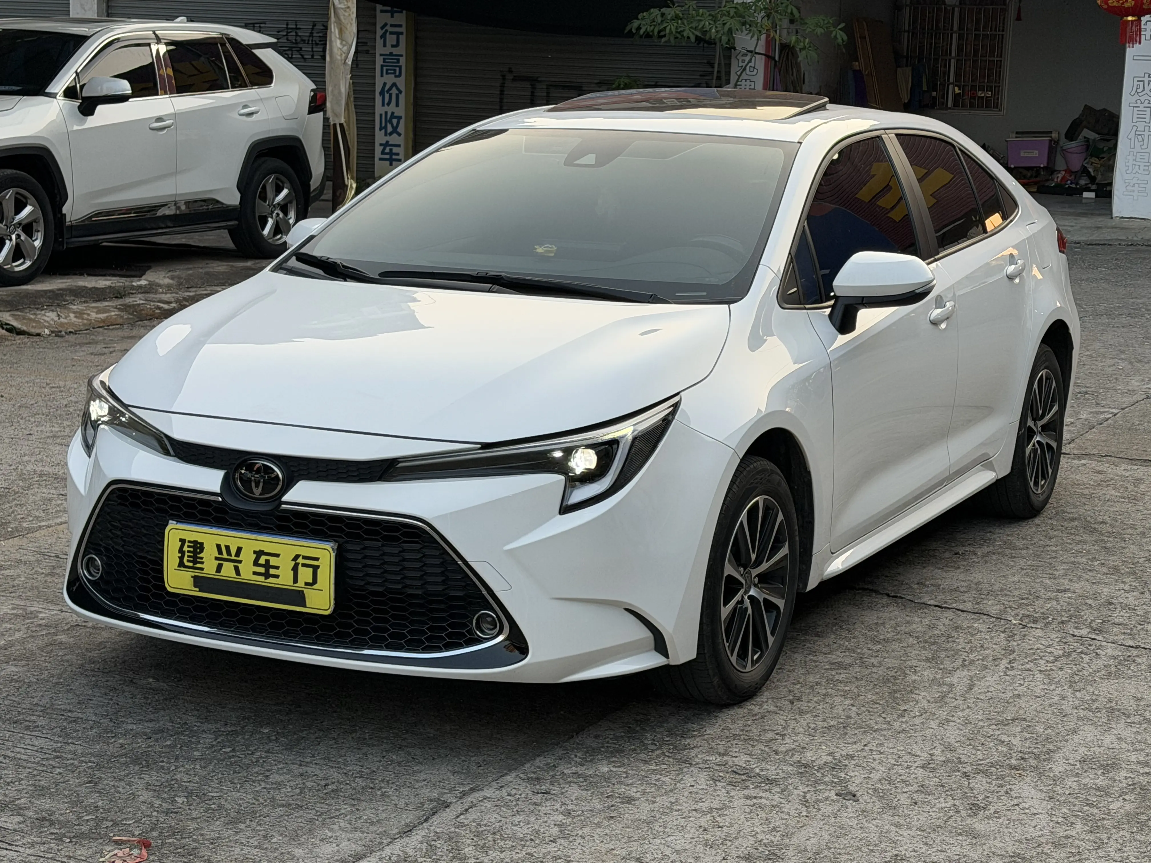 Toyota Levin