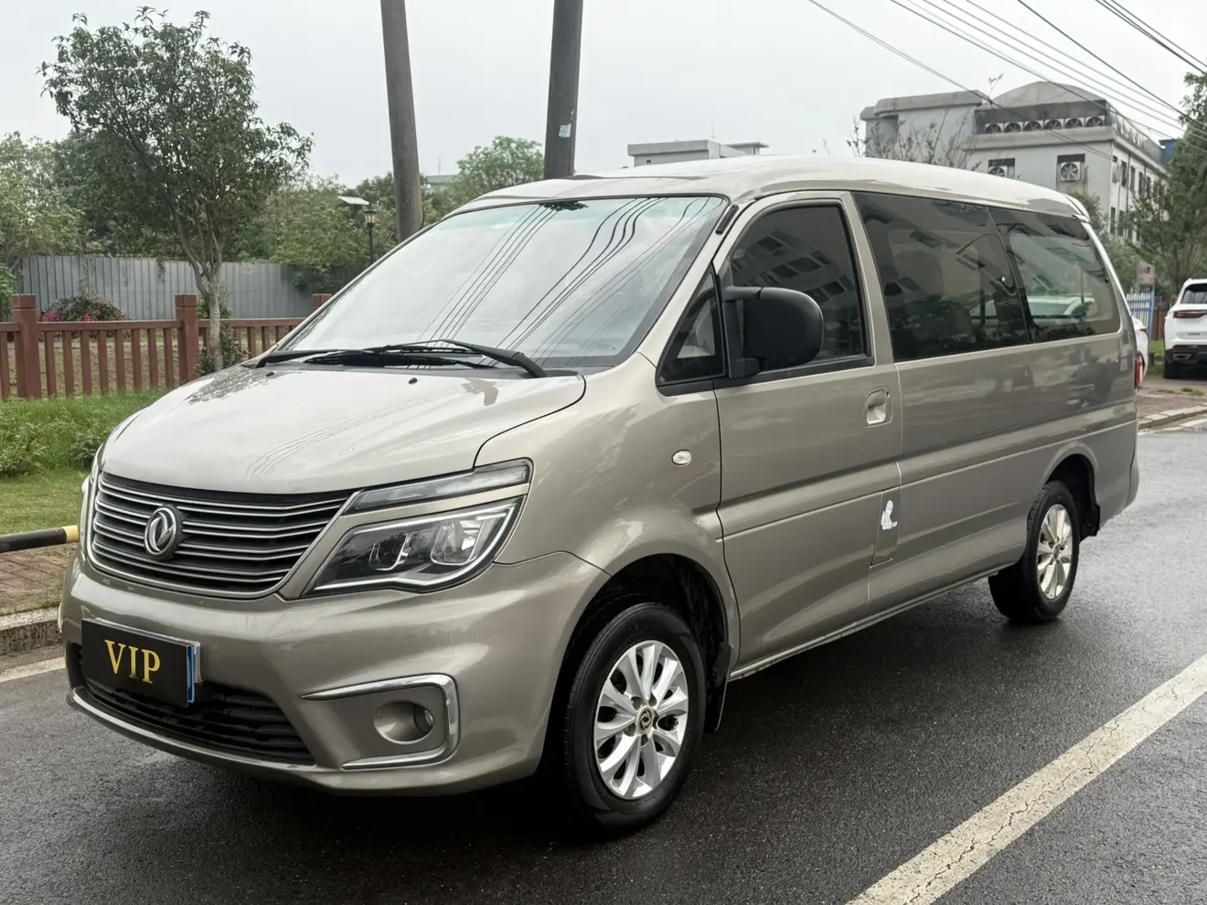 Forthing Lingzhi