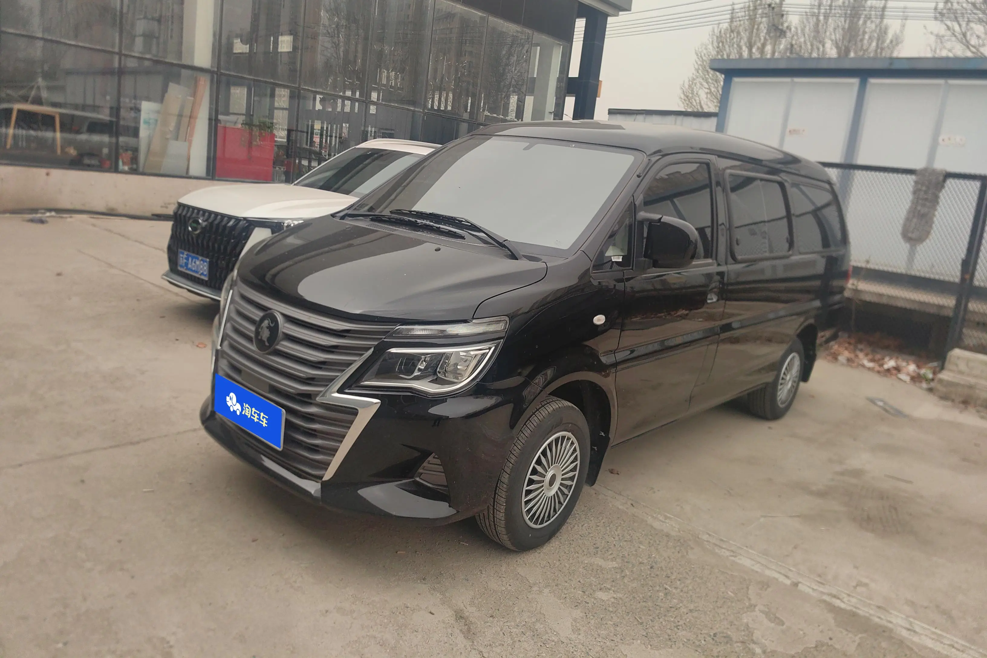 Forthing Lingzhi