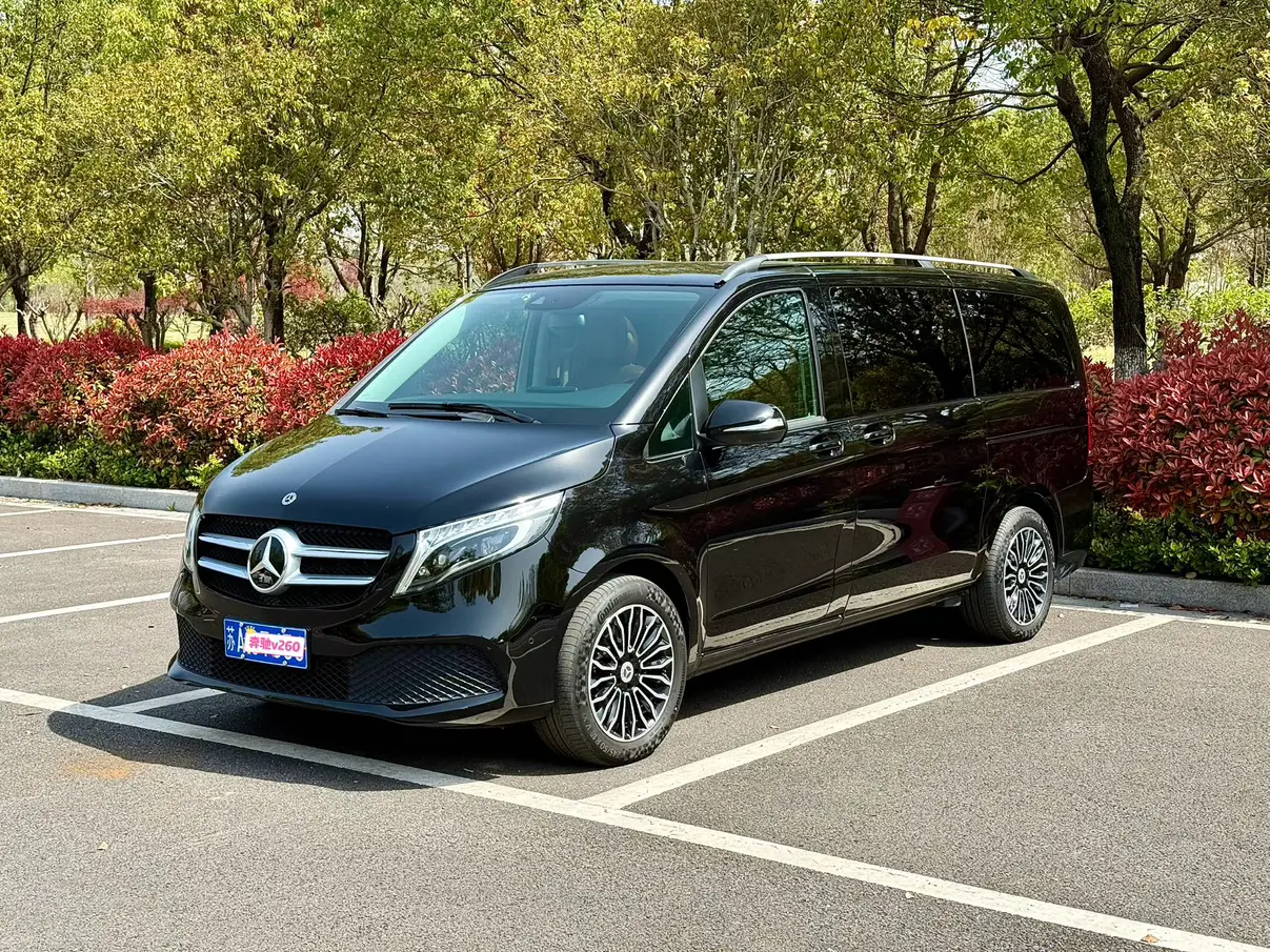 Mercedes-Benz Mercedes Benz V Class