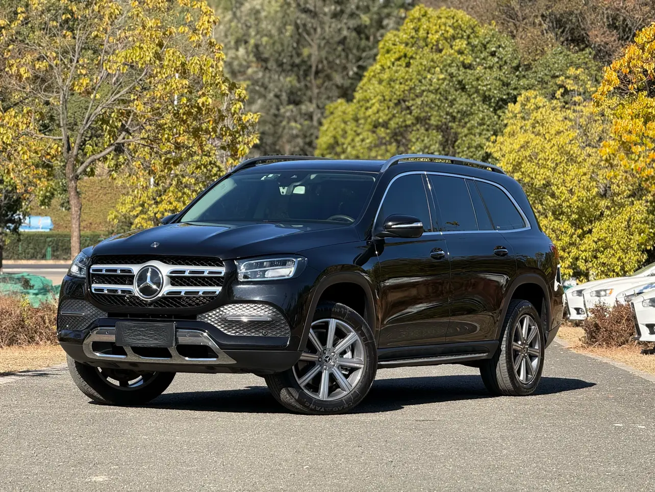 Mercedes-Benz Mercedes Benz GLS