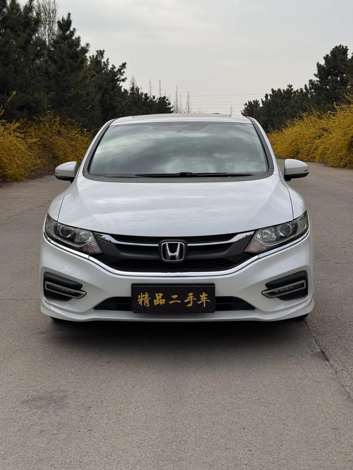 Honda Jed