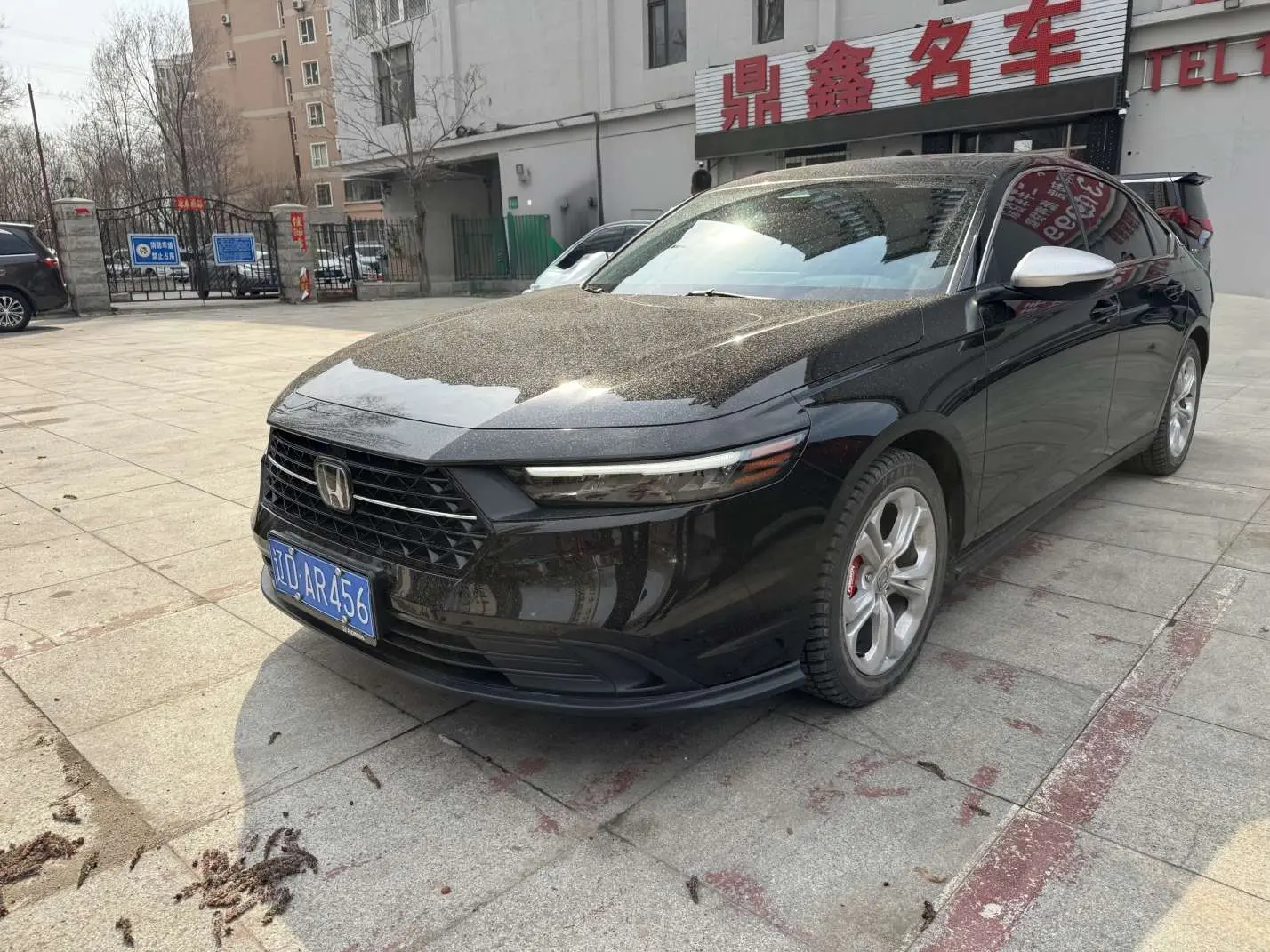 Honda Accord