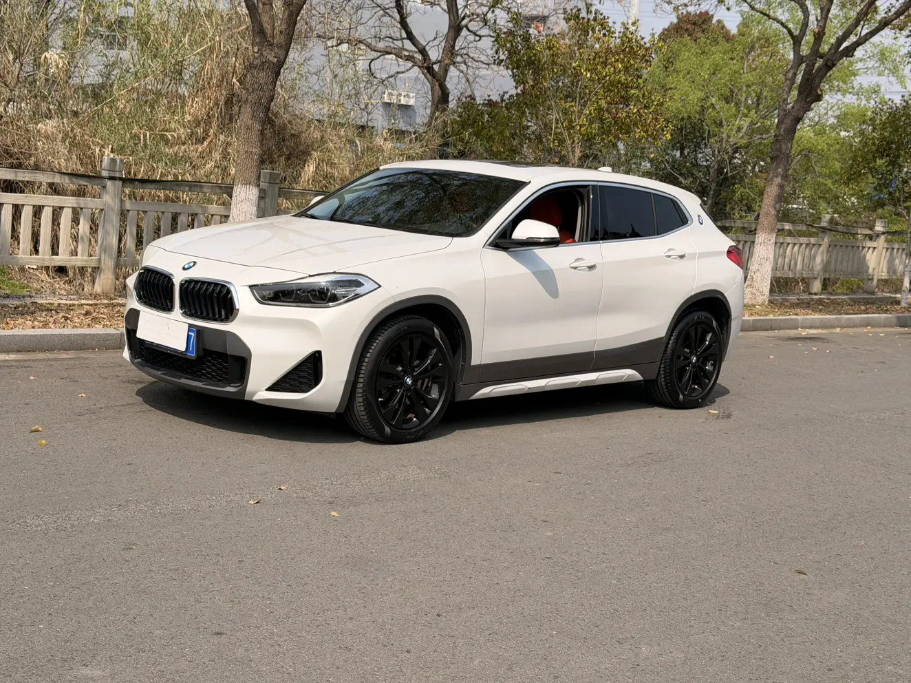 BMW X2