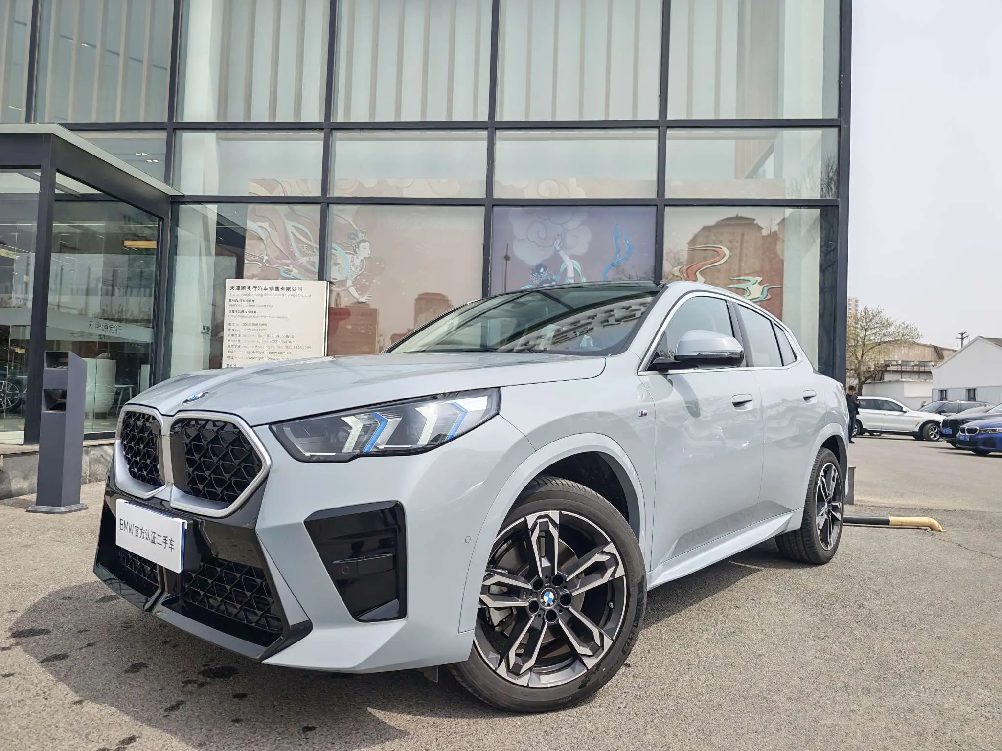 BMW X2