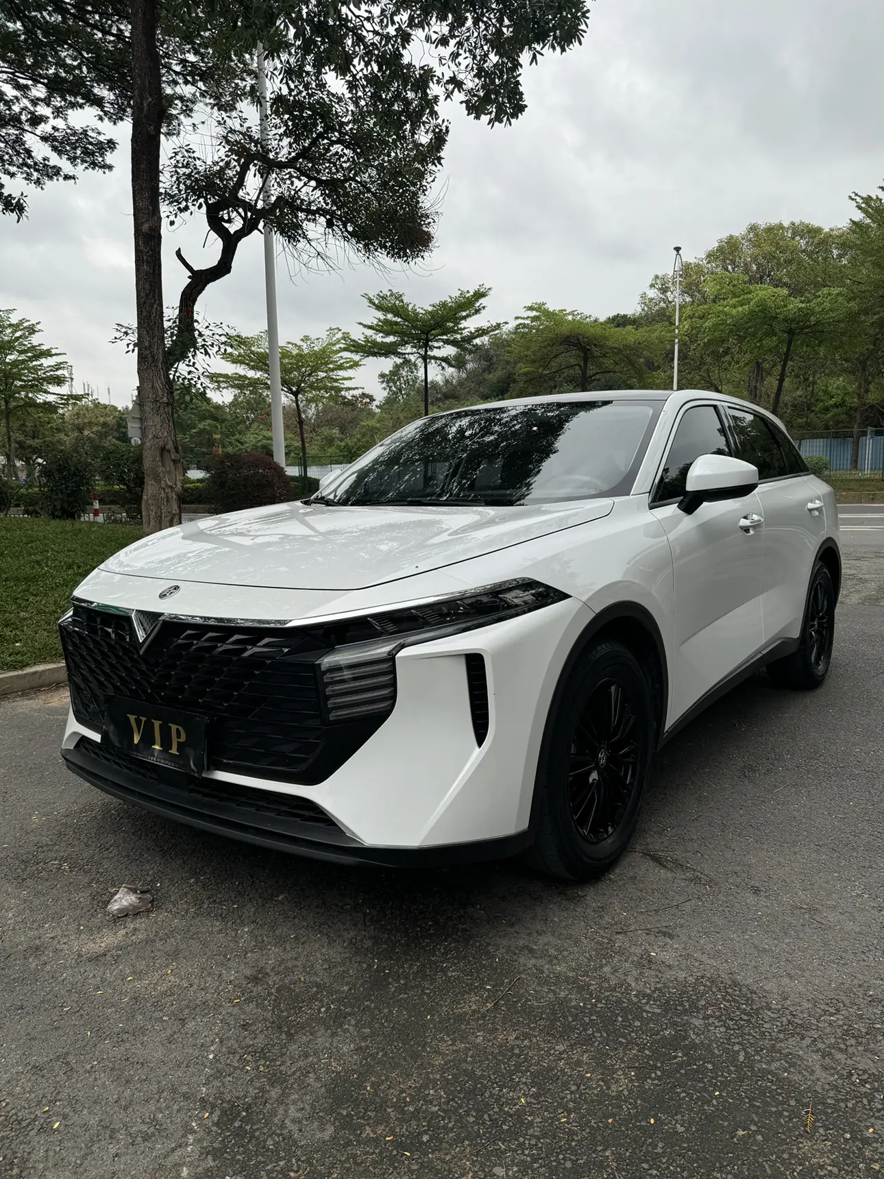 Kai Chen Venucia Big V