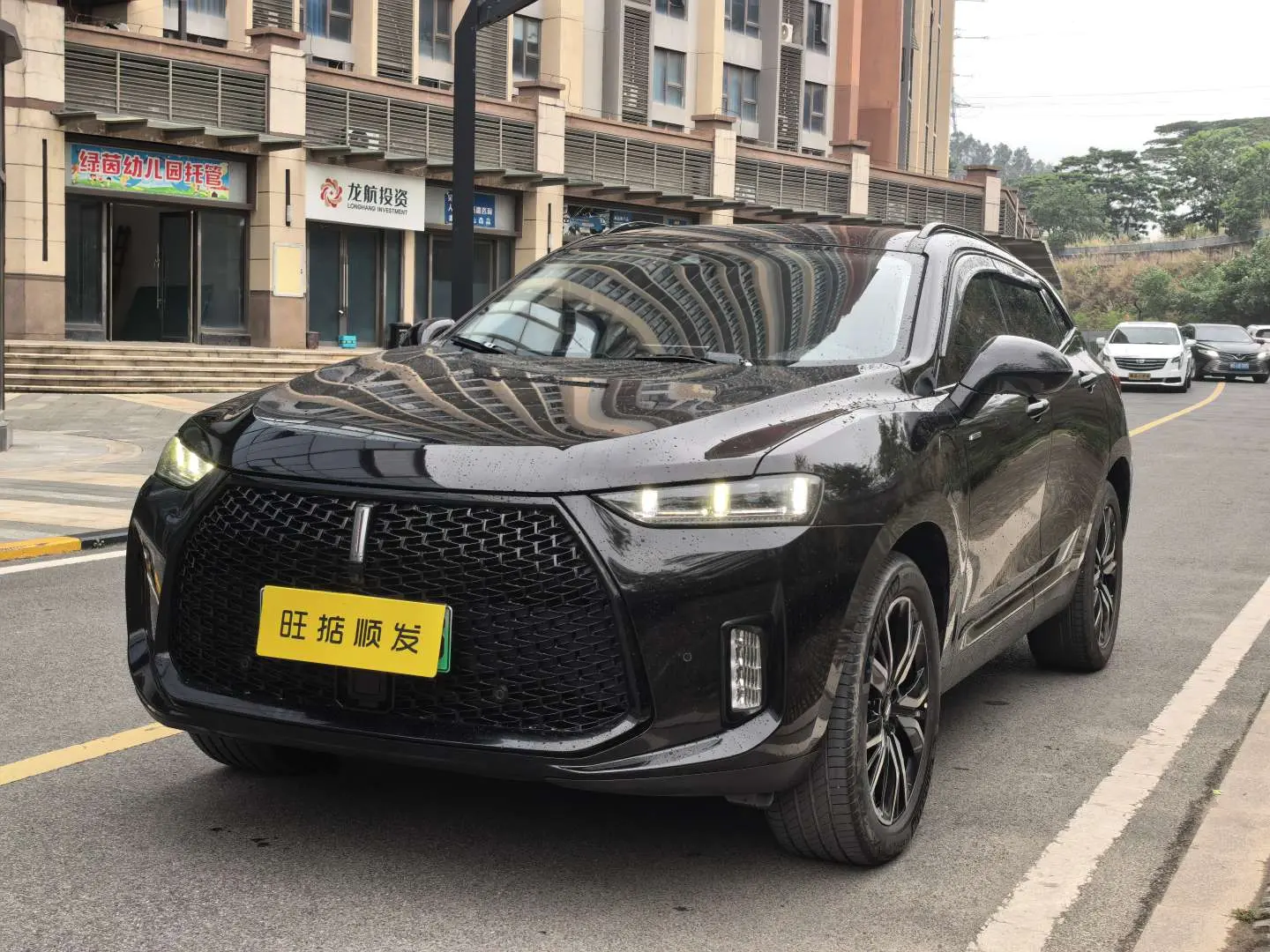 Wey Wei brand P8