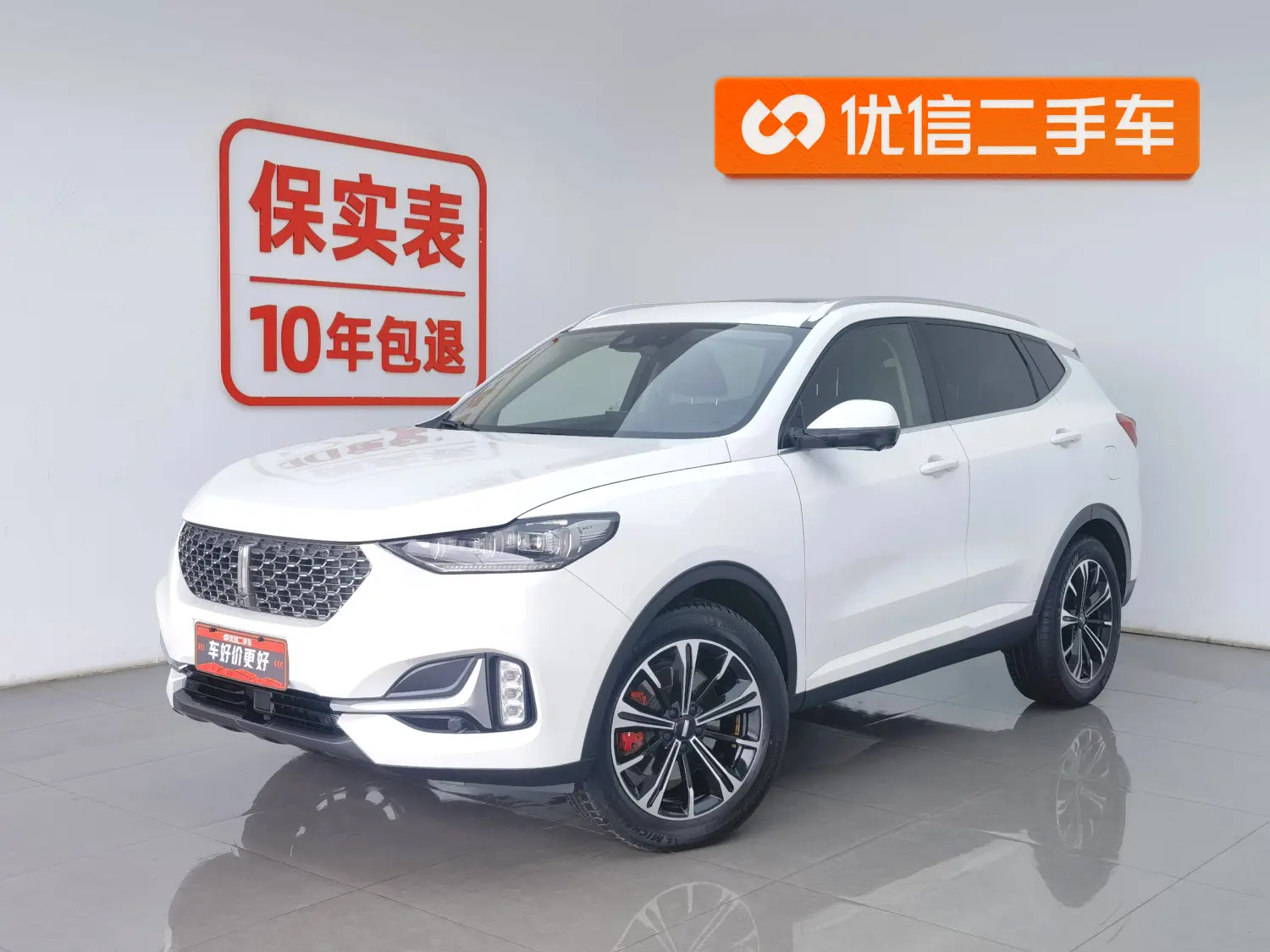 Wey Wei brand VV6
