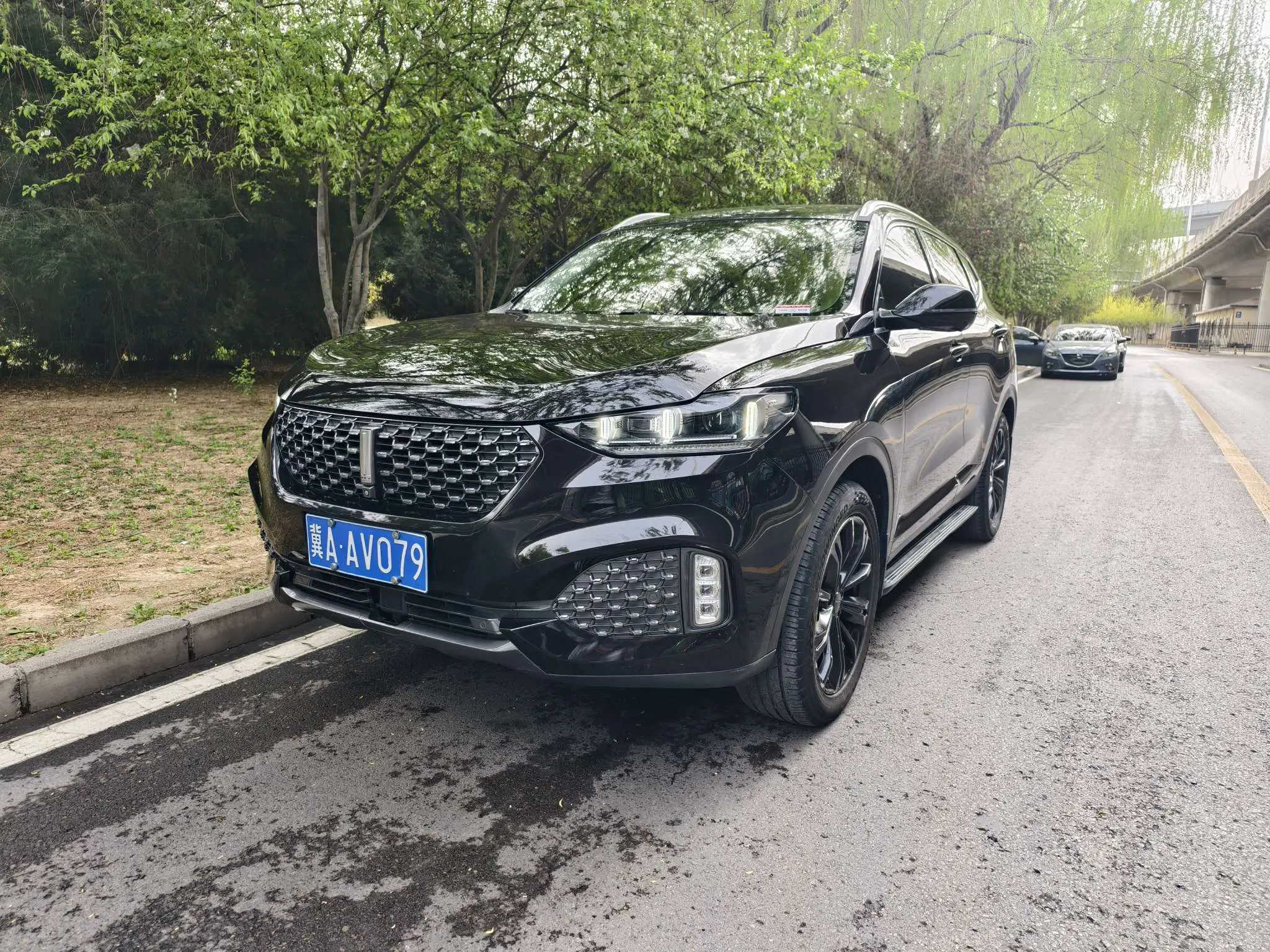 Wey Wei brand VV6