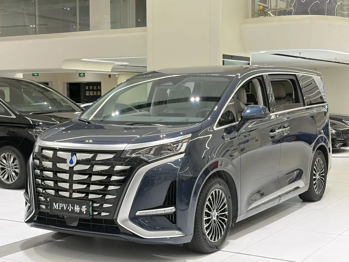 Denza D9 DM
