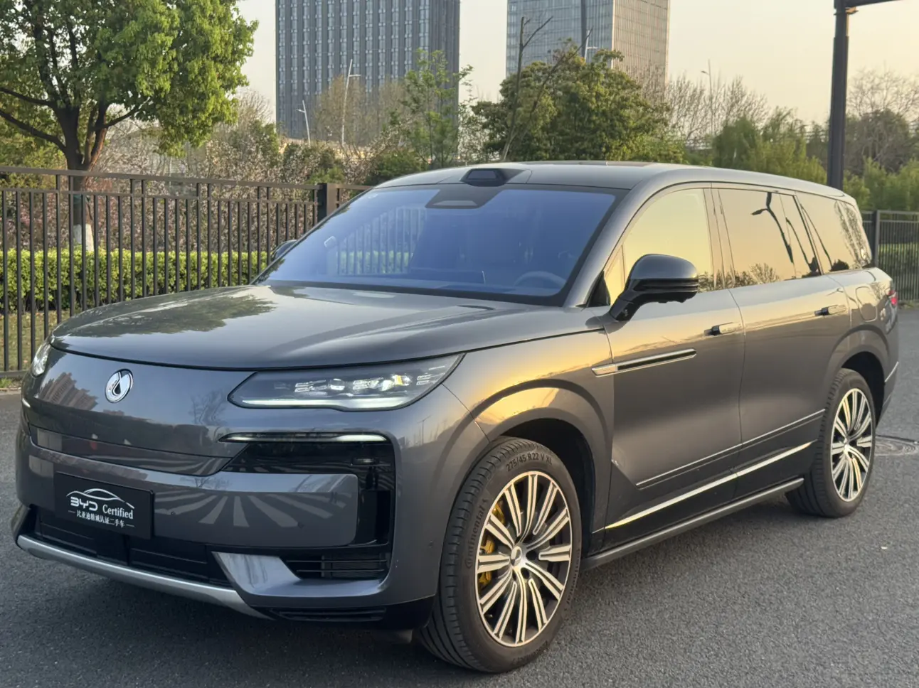 Denza Tengzhong N9 DM