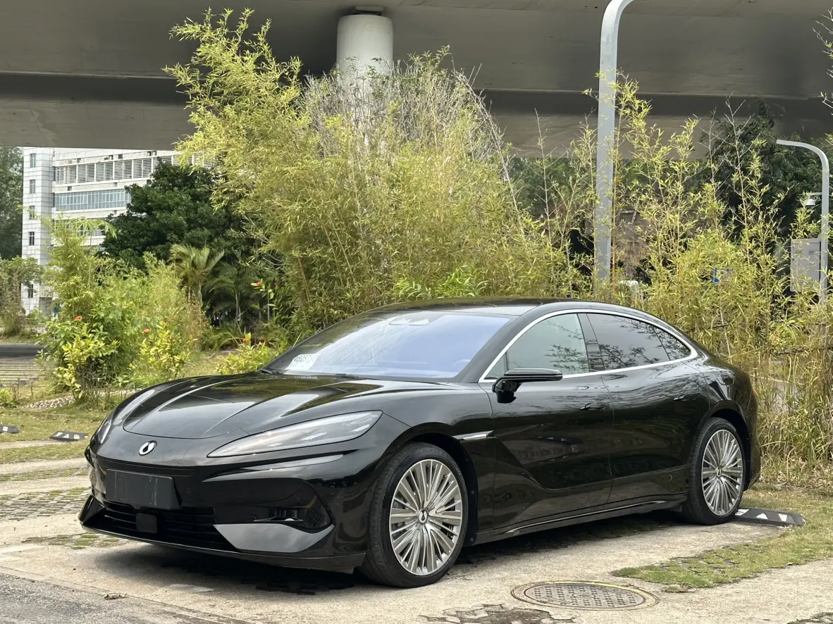 Denza Tengzhong Z9 DM