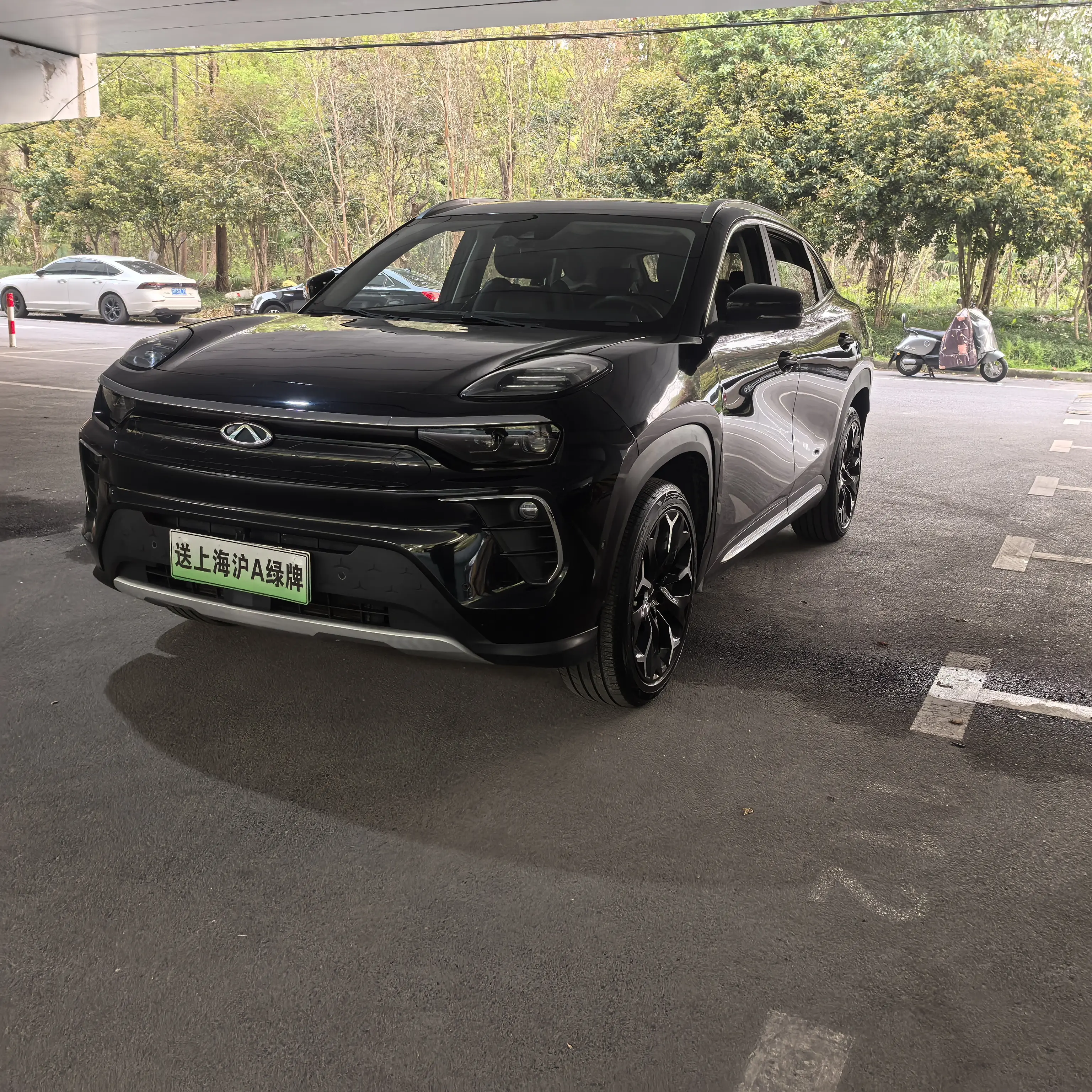 Chery Big ant