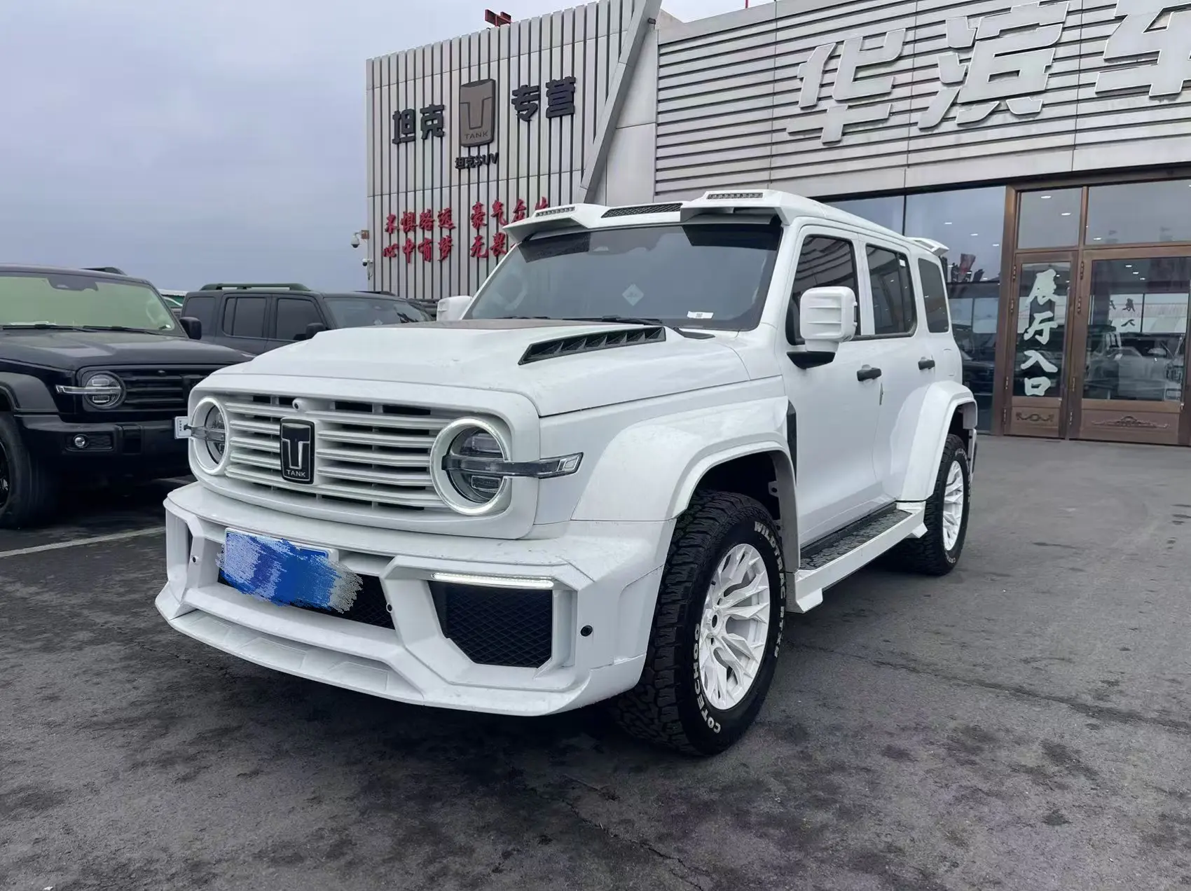 Tank 300