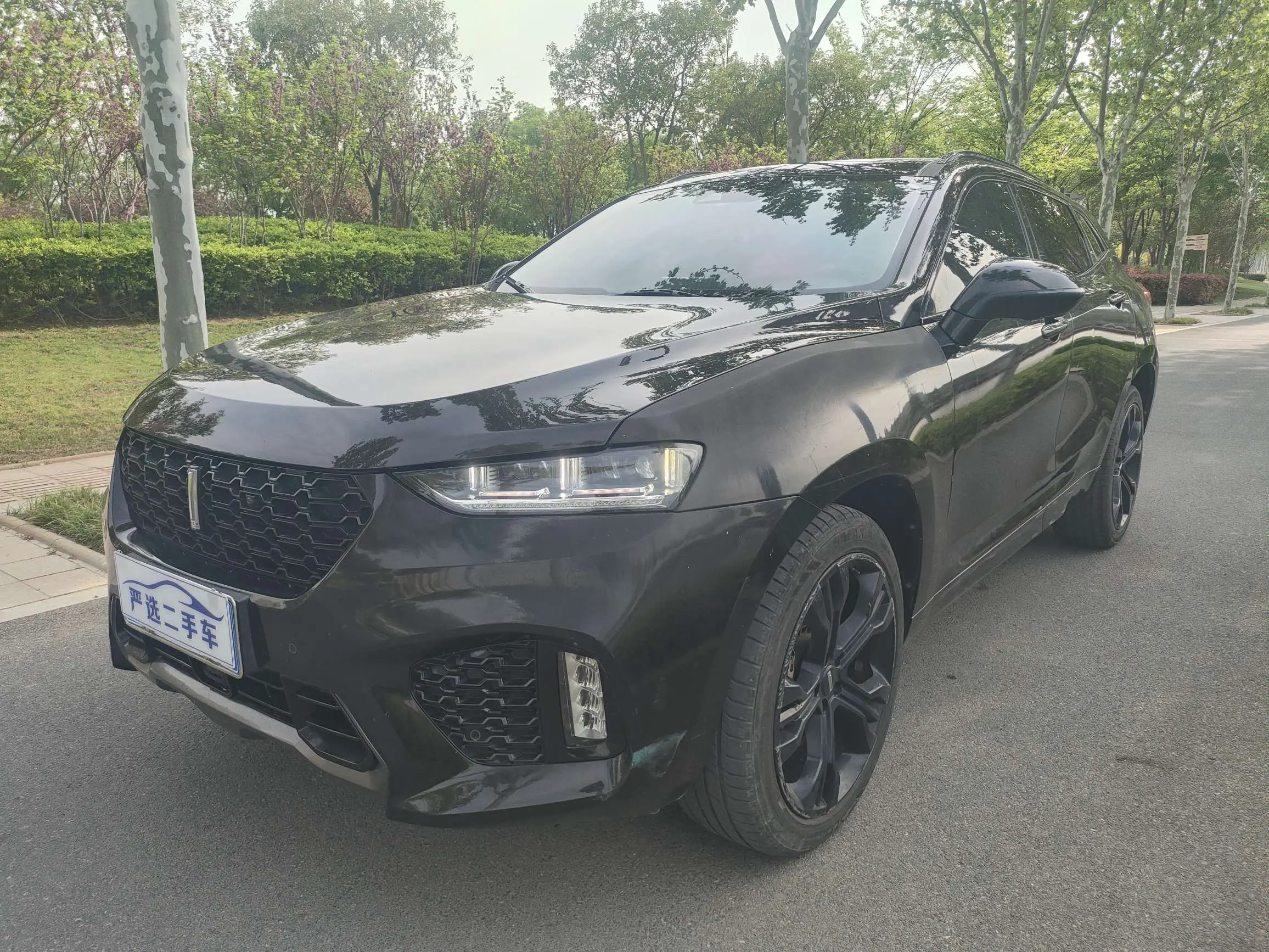 Wey Wei brand VV7