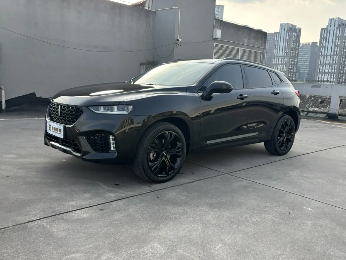 Wey Wei brand VV7