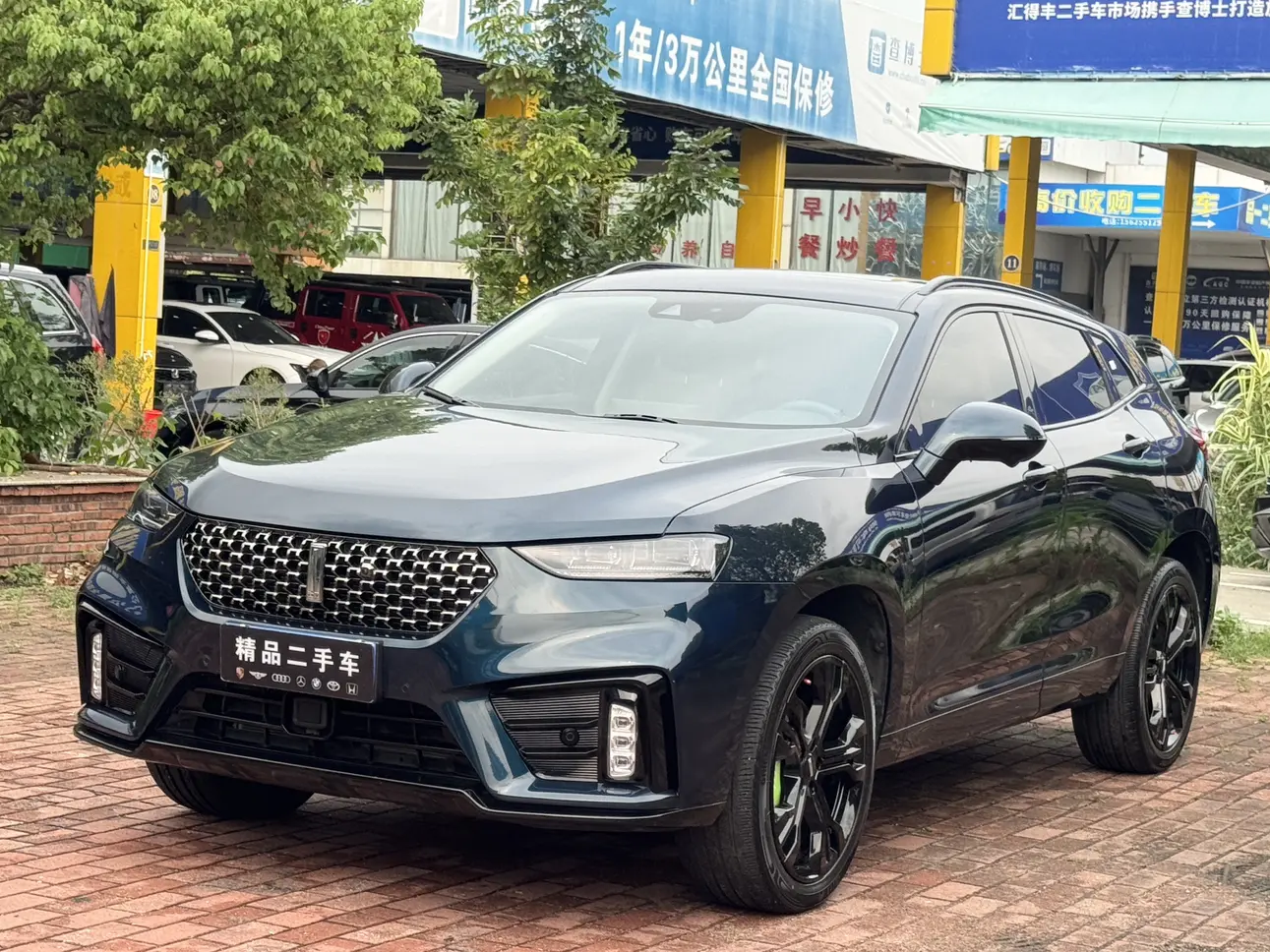 Wey Wei brand VV7