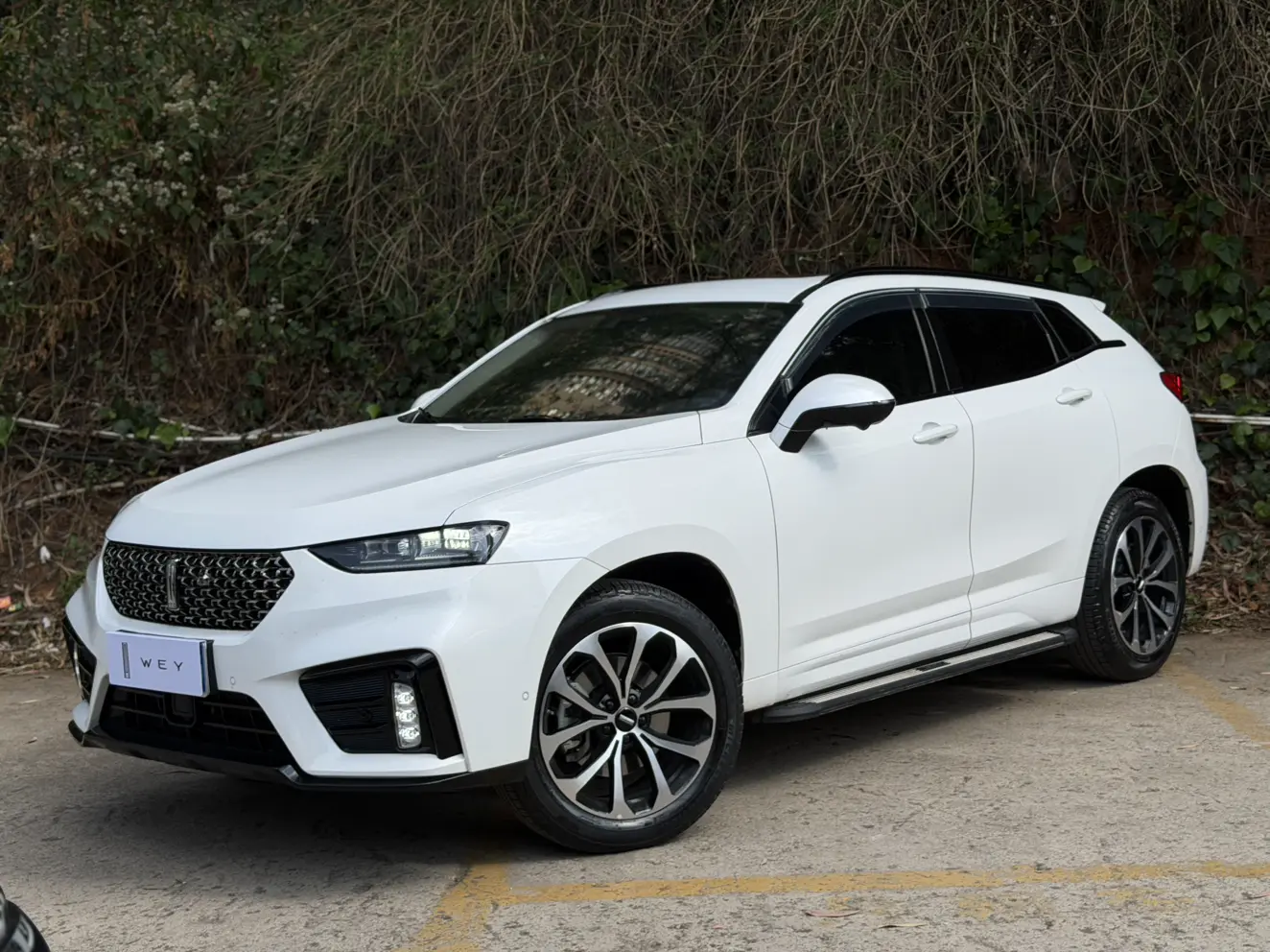 Wey Wei brand VV7