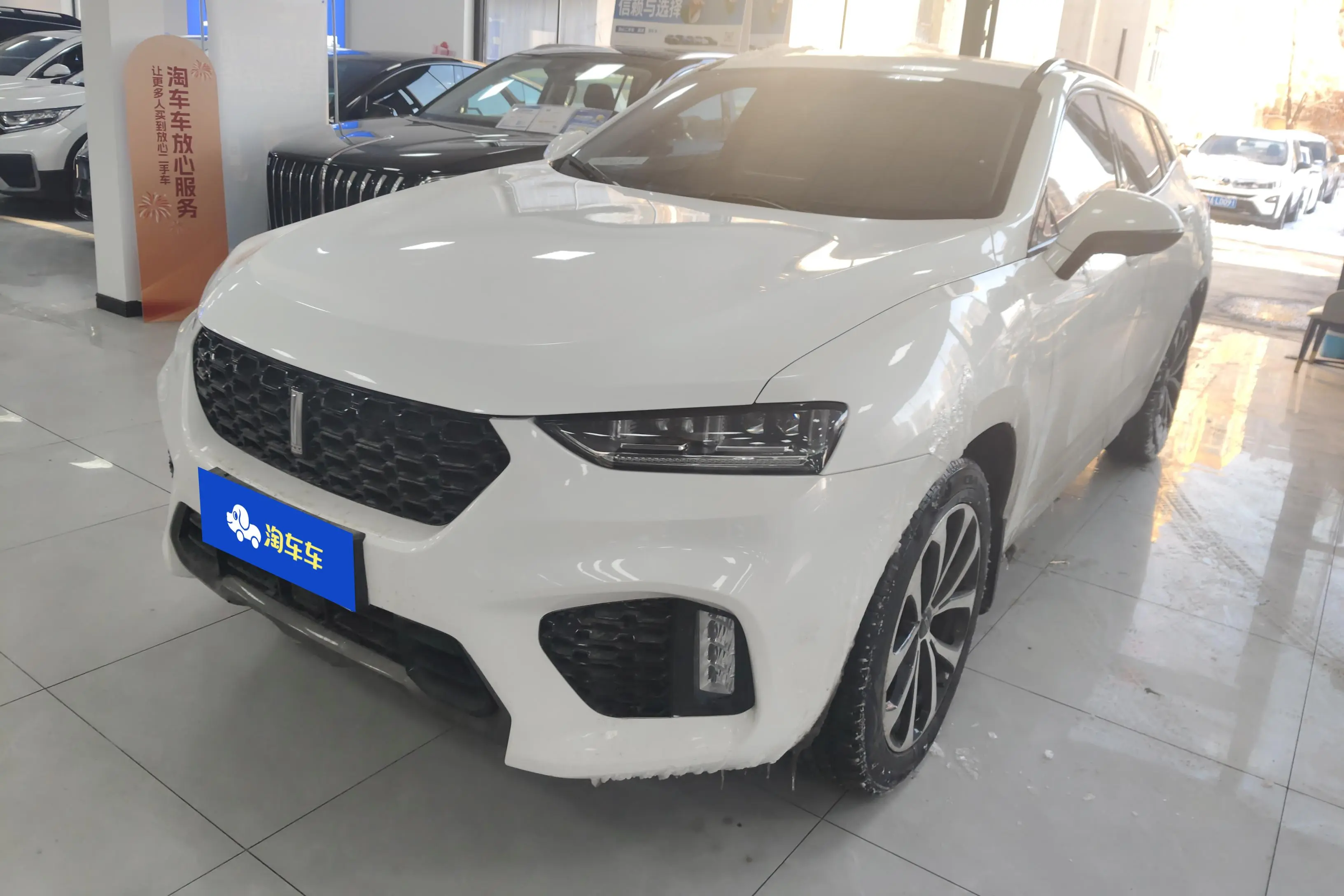 Wey Wei brand VV7
