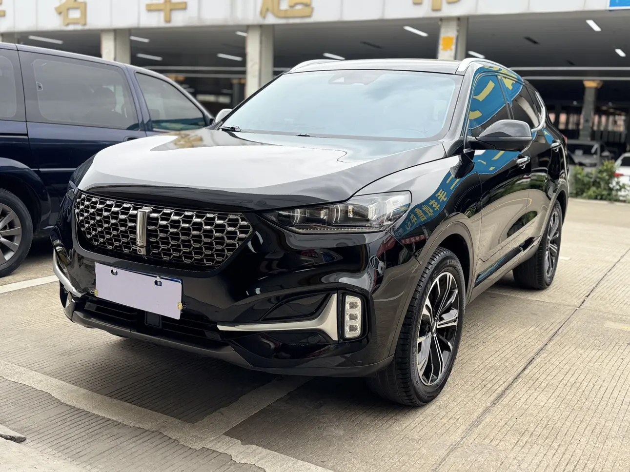 Wey Wei brand VV6