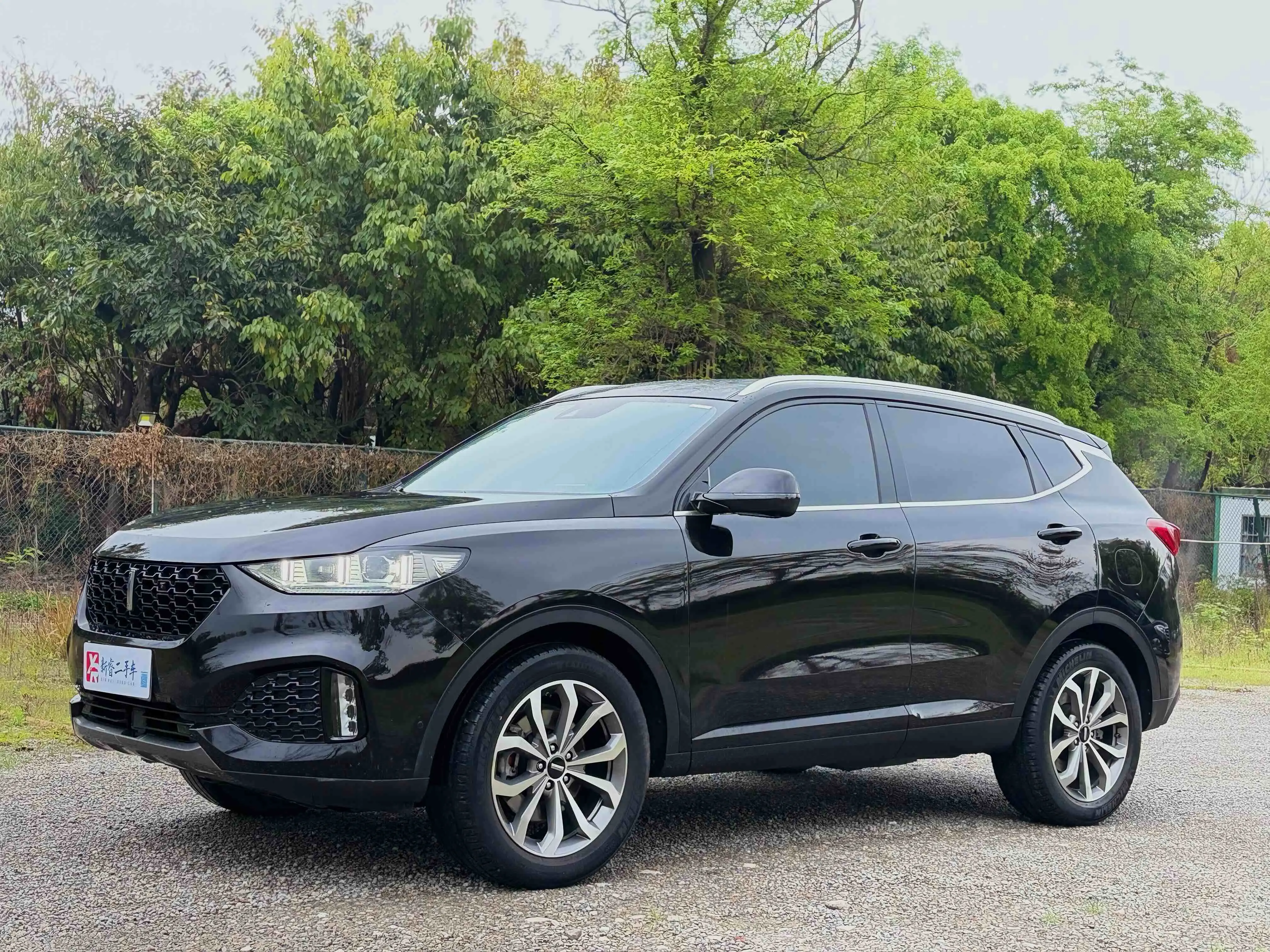 Wey Wei brand VV6
