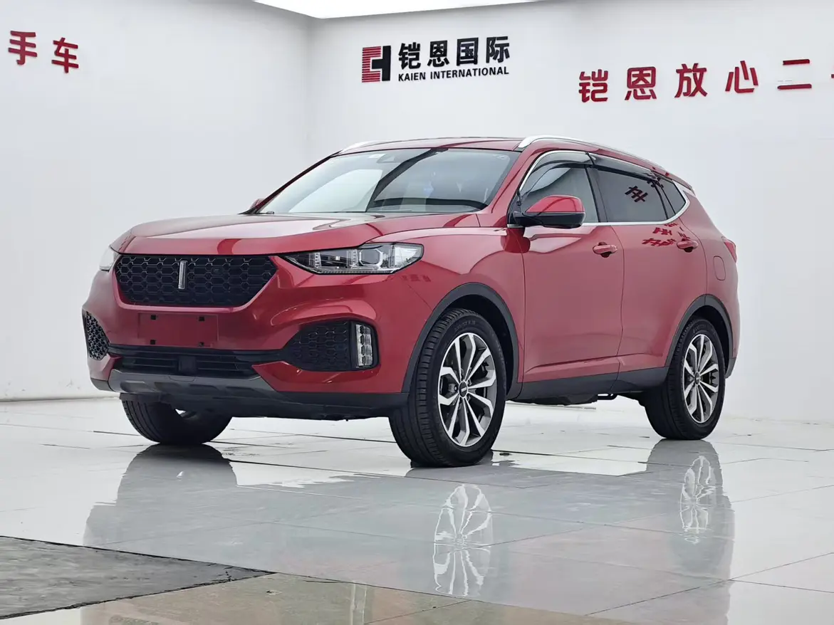 Wey Wei brand VV6