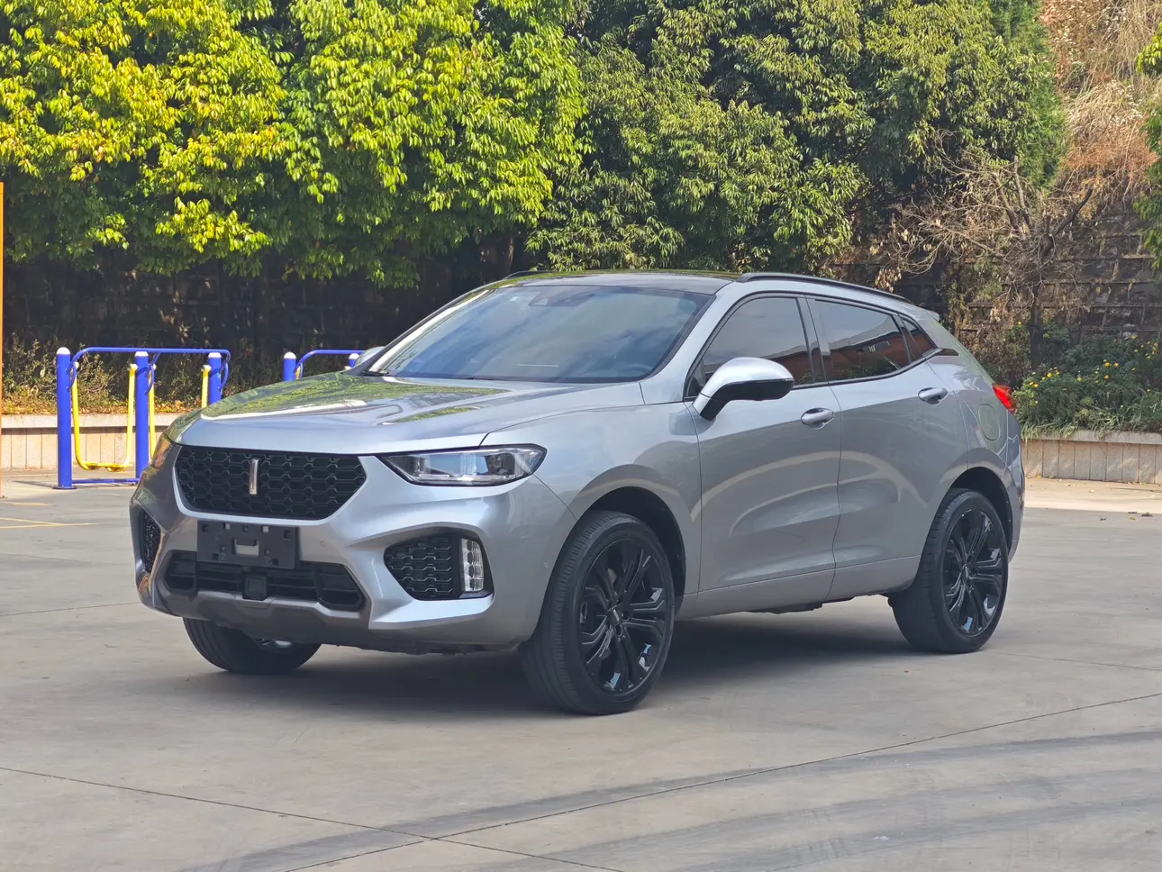 Wey Wei brand VV5