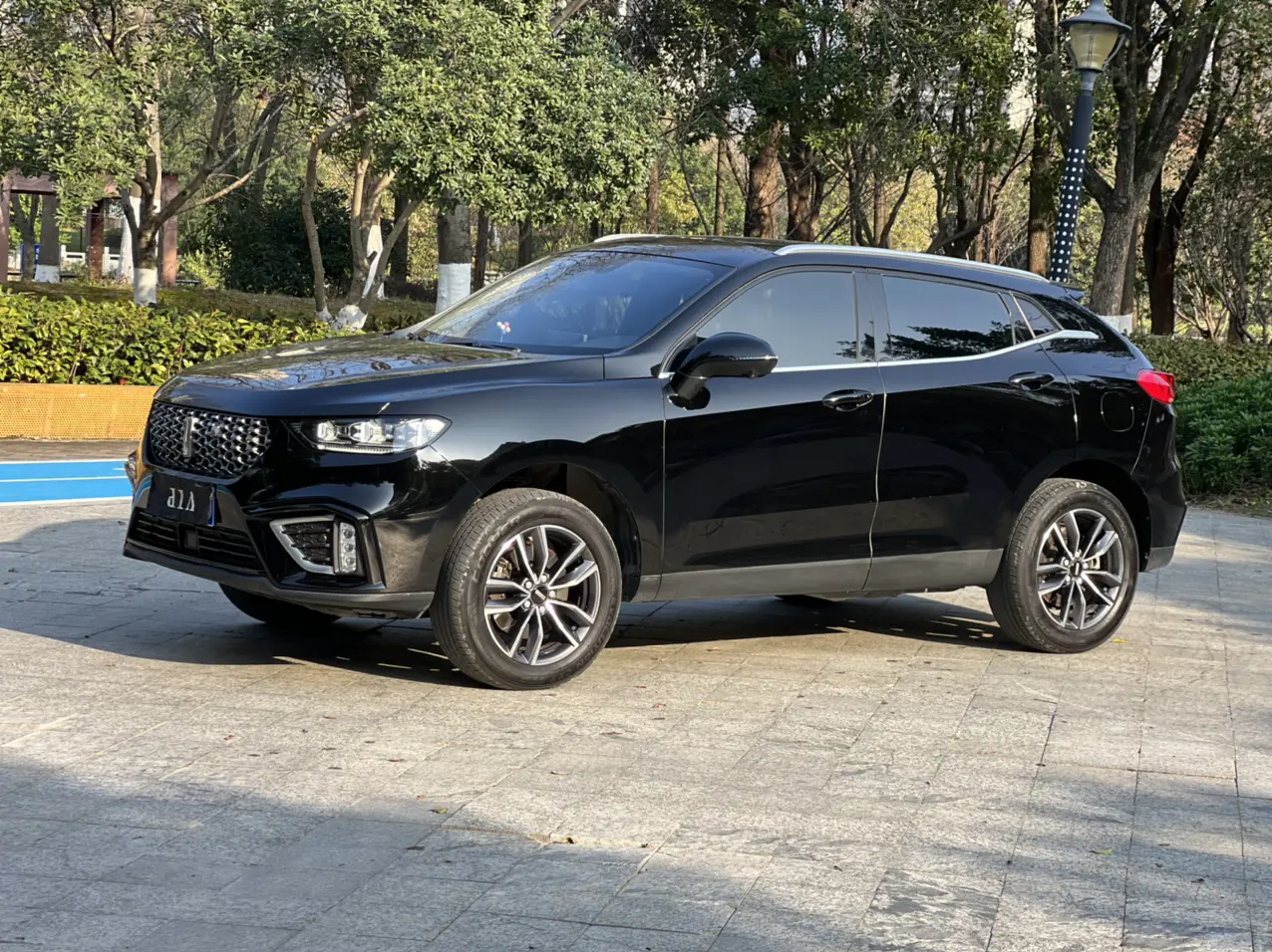 Wey Wei brand VV5