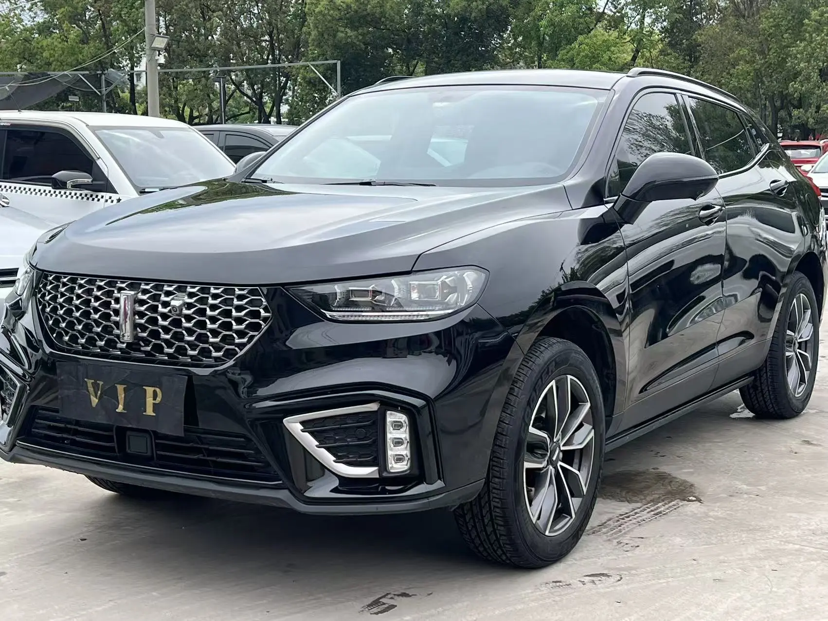 Wey Wei brand VV5