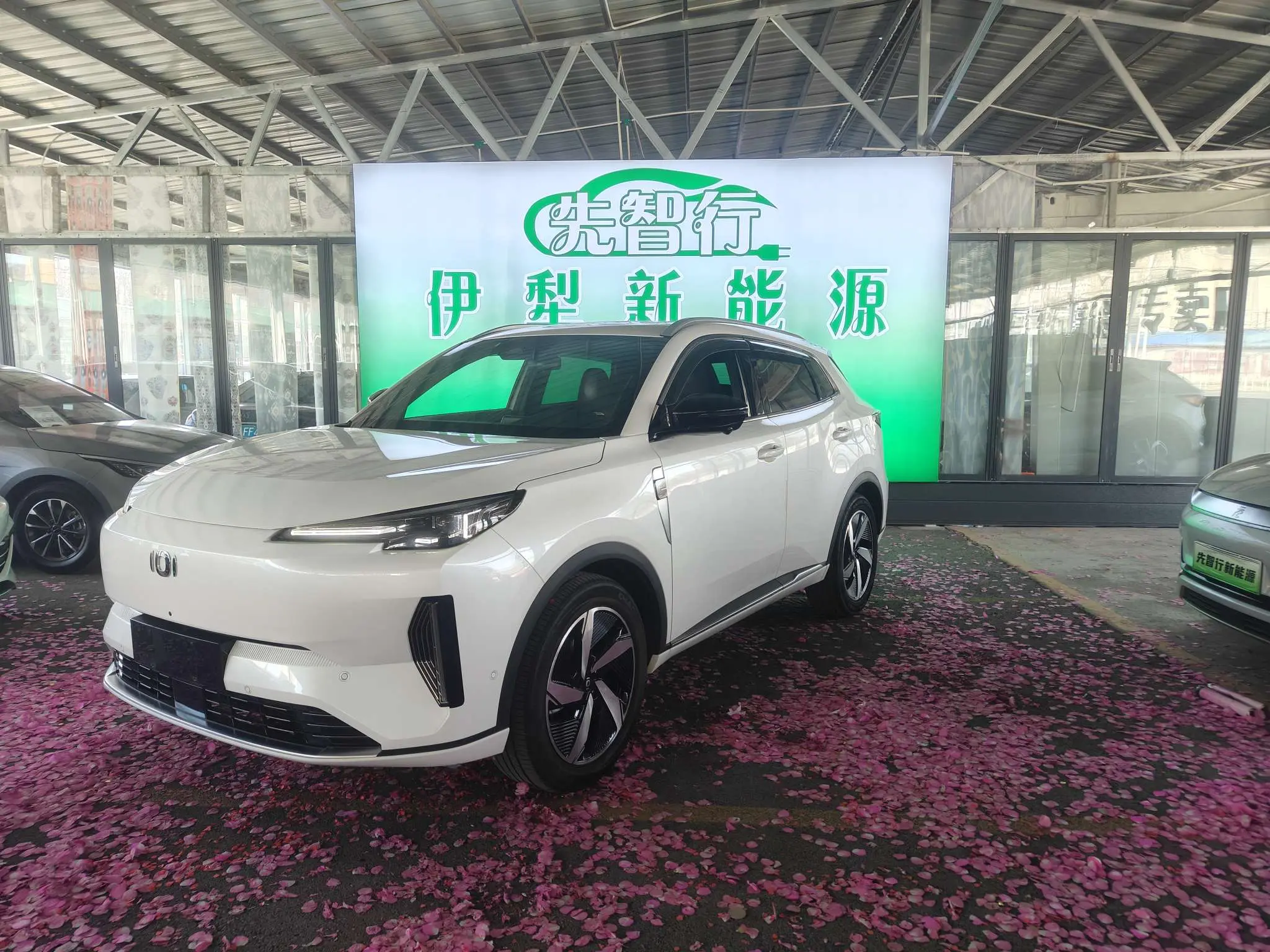 Changan Qiyuan Q05 Classic