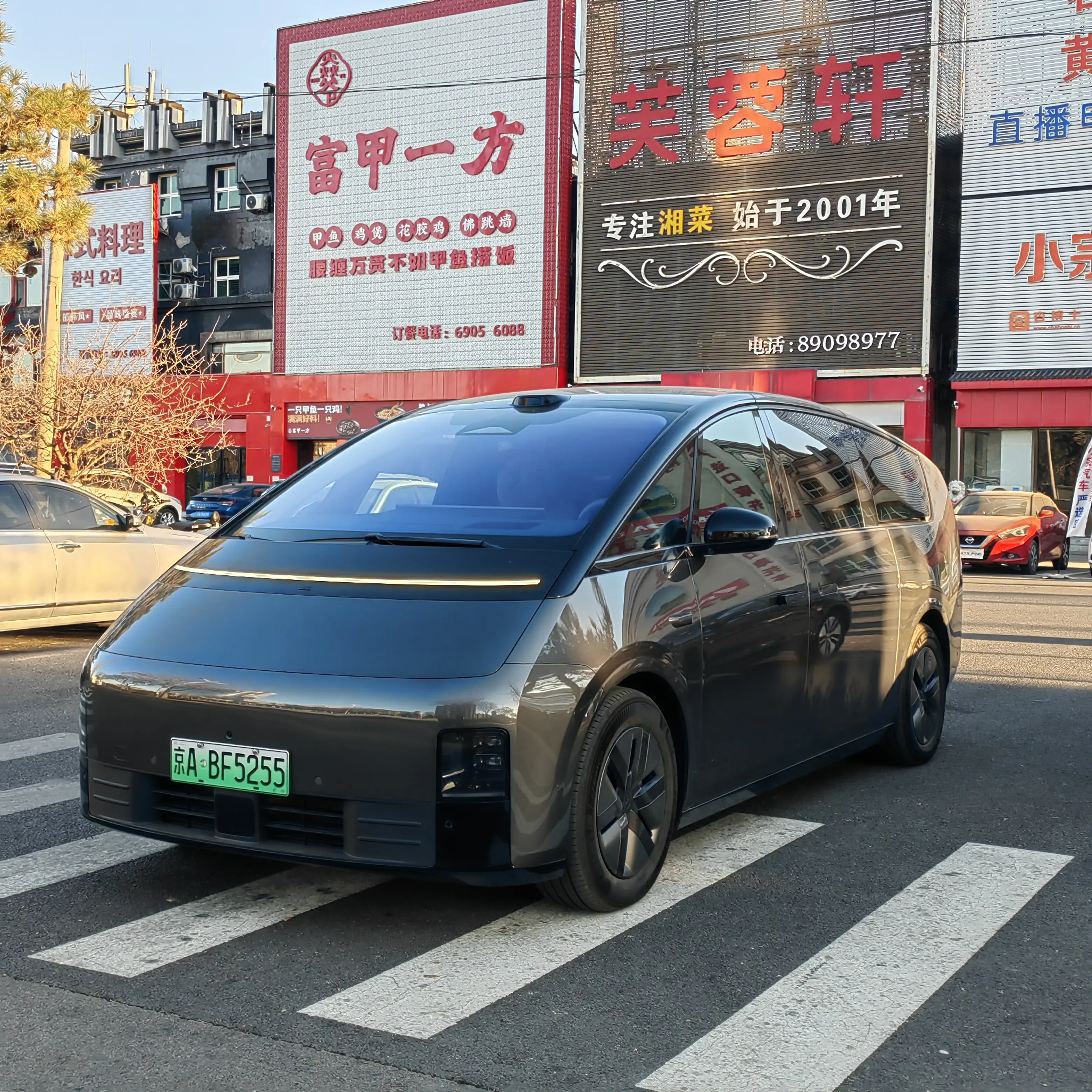 Lixiang MEGA