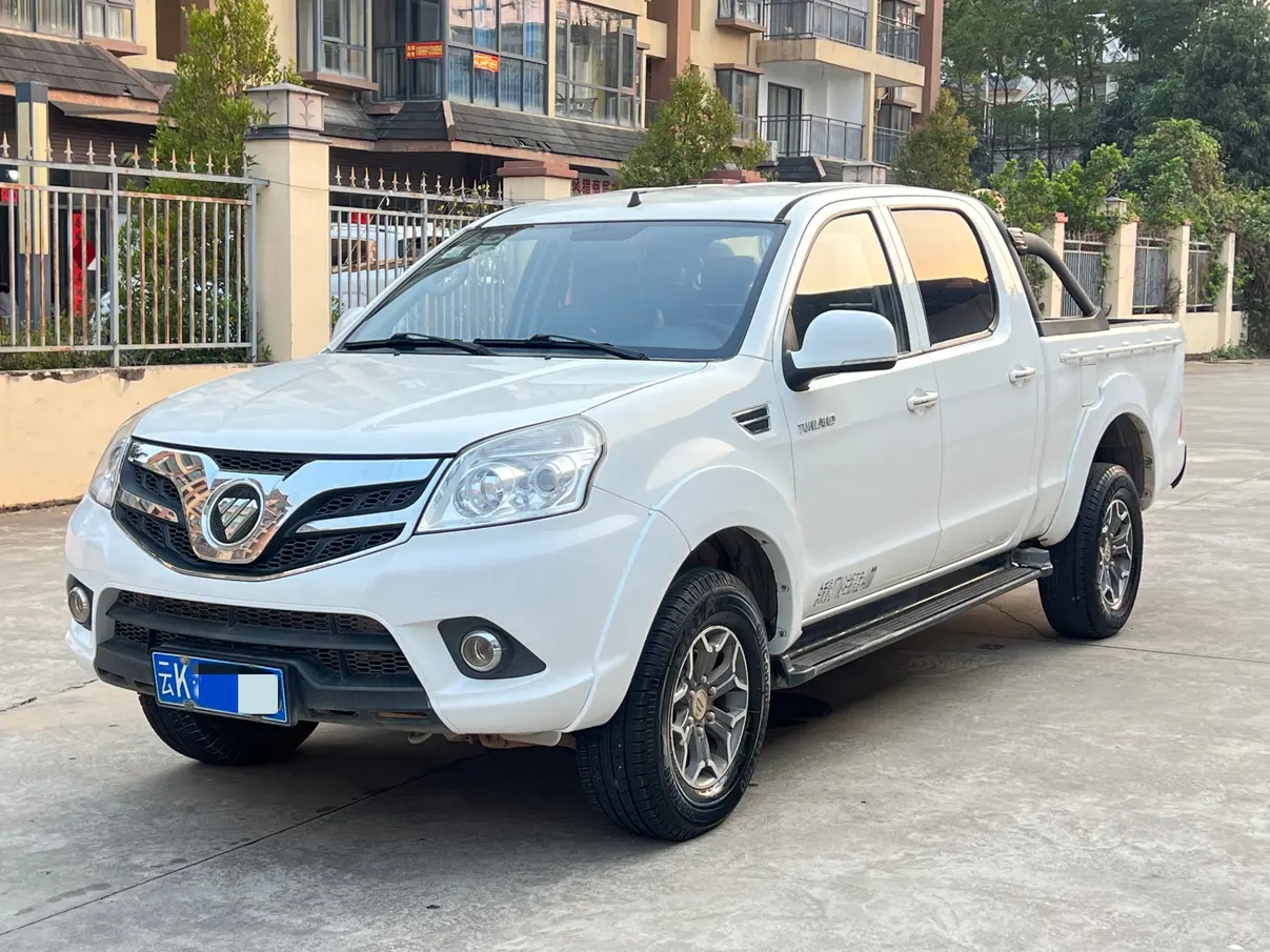 Foton Pioneer