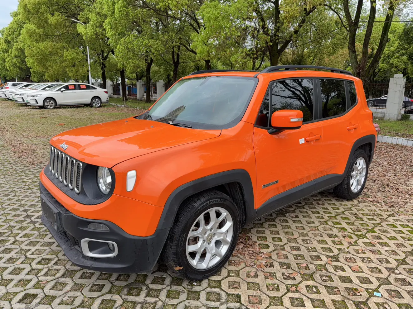Jeep Freeman