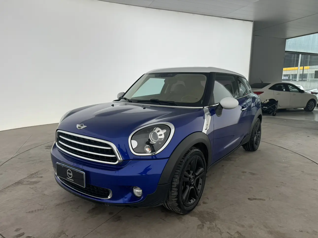 MINI PACEMAN