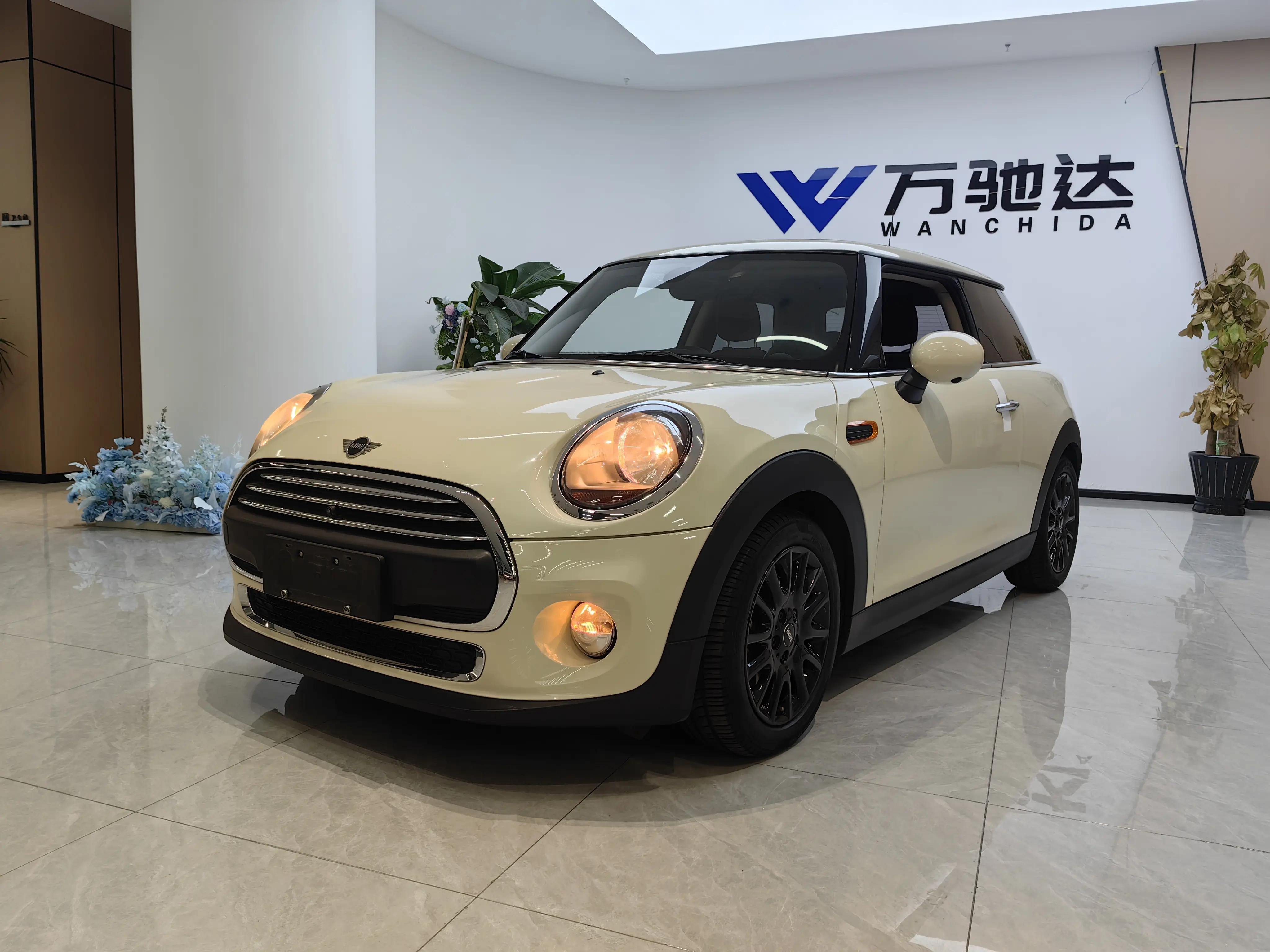 MINI MINI