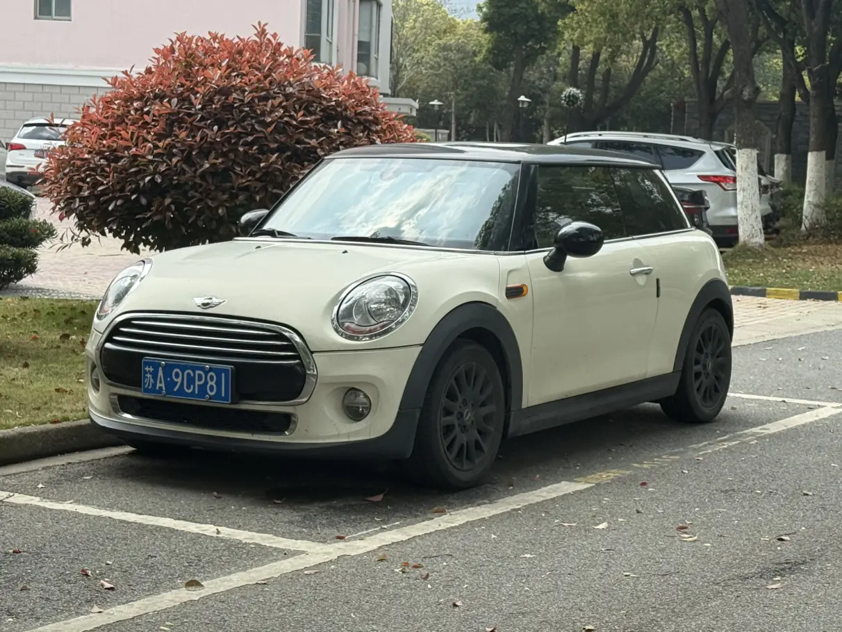 MINI MINI
