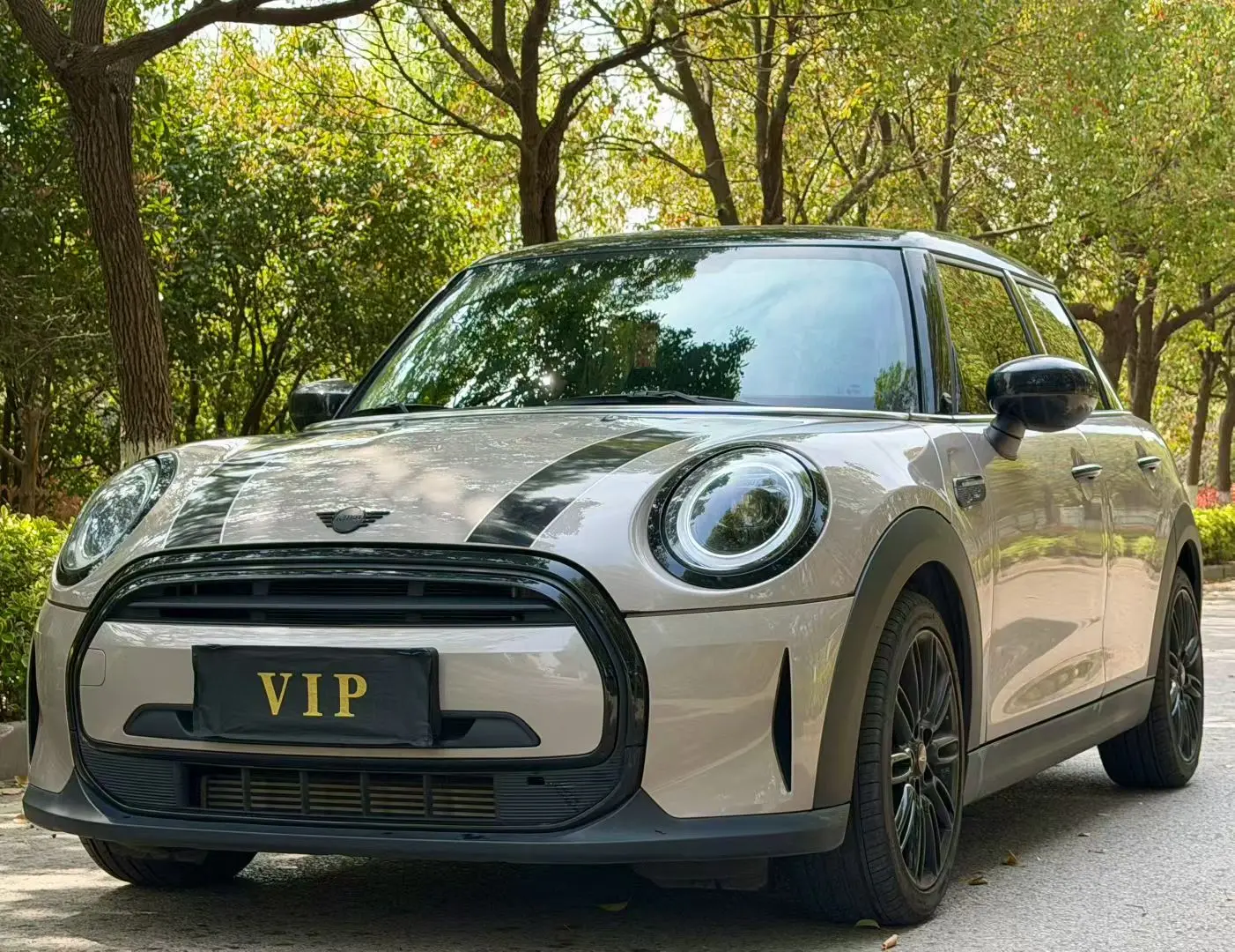MINI MINI