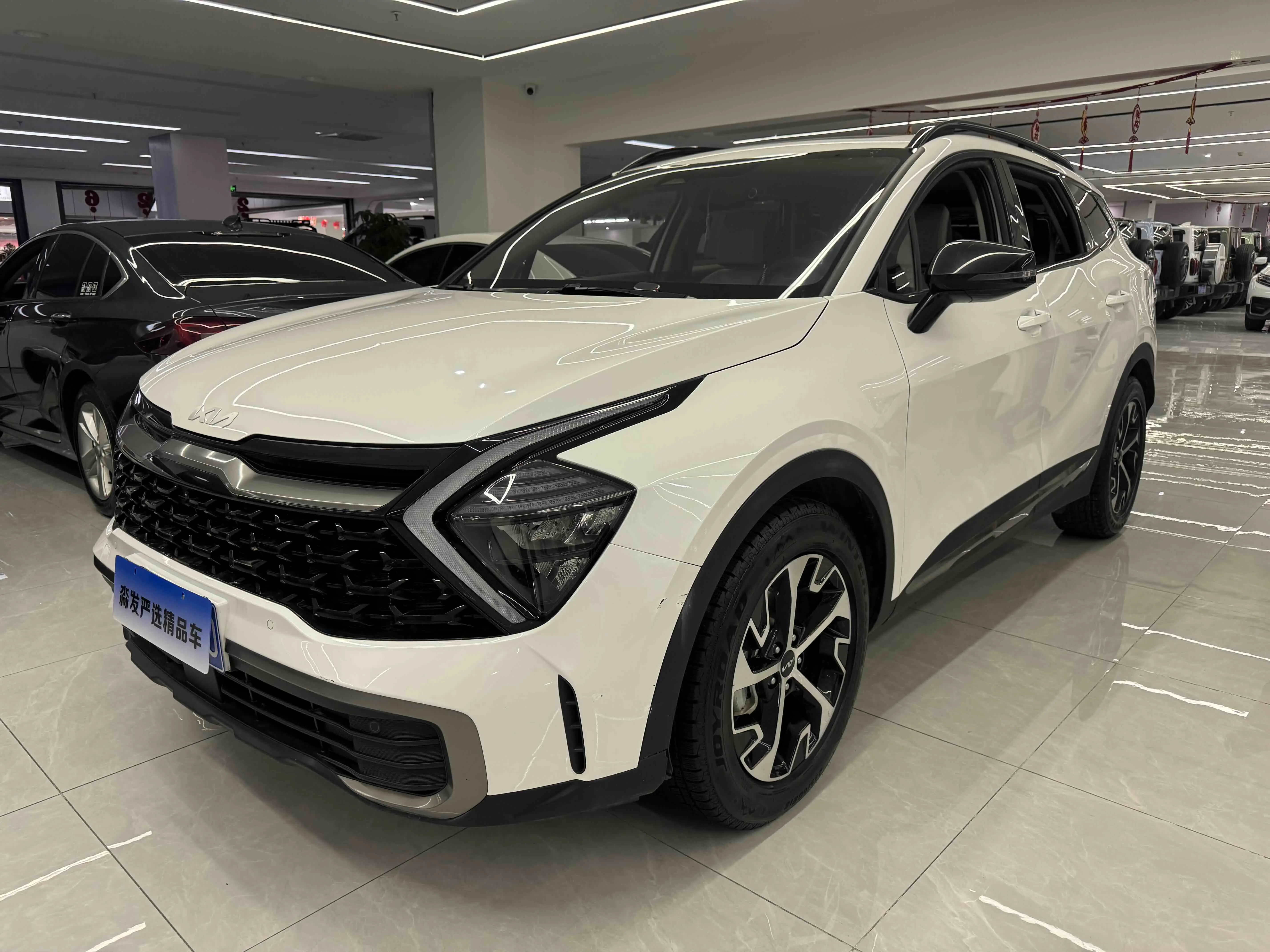 Kia Lion Platinum Expands the Boundary