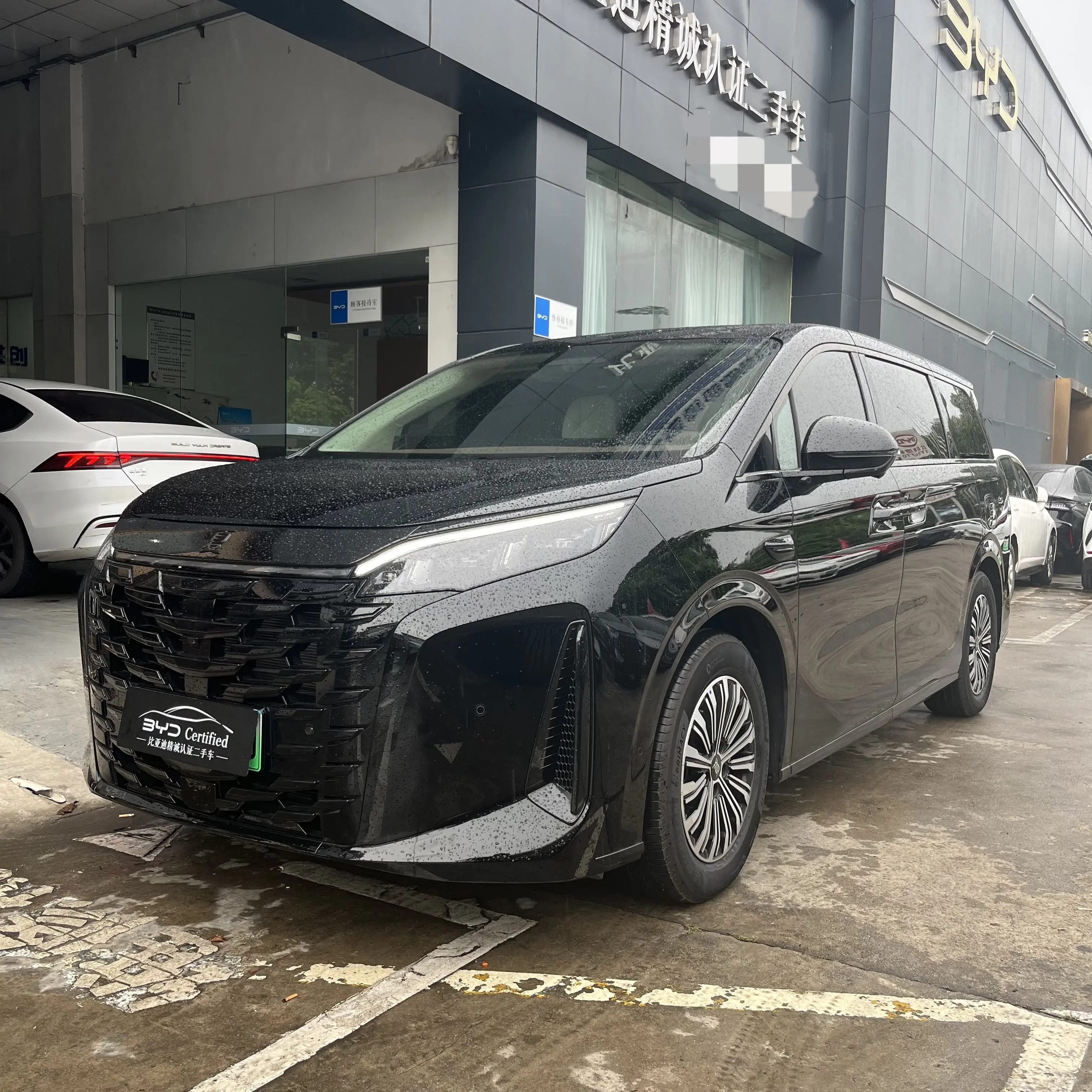BYD Summer