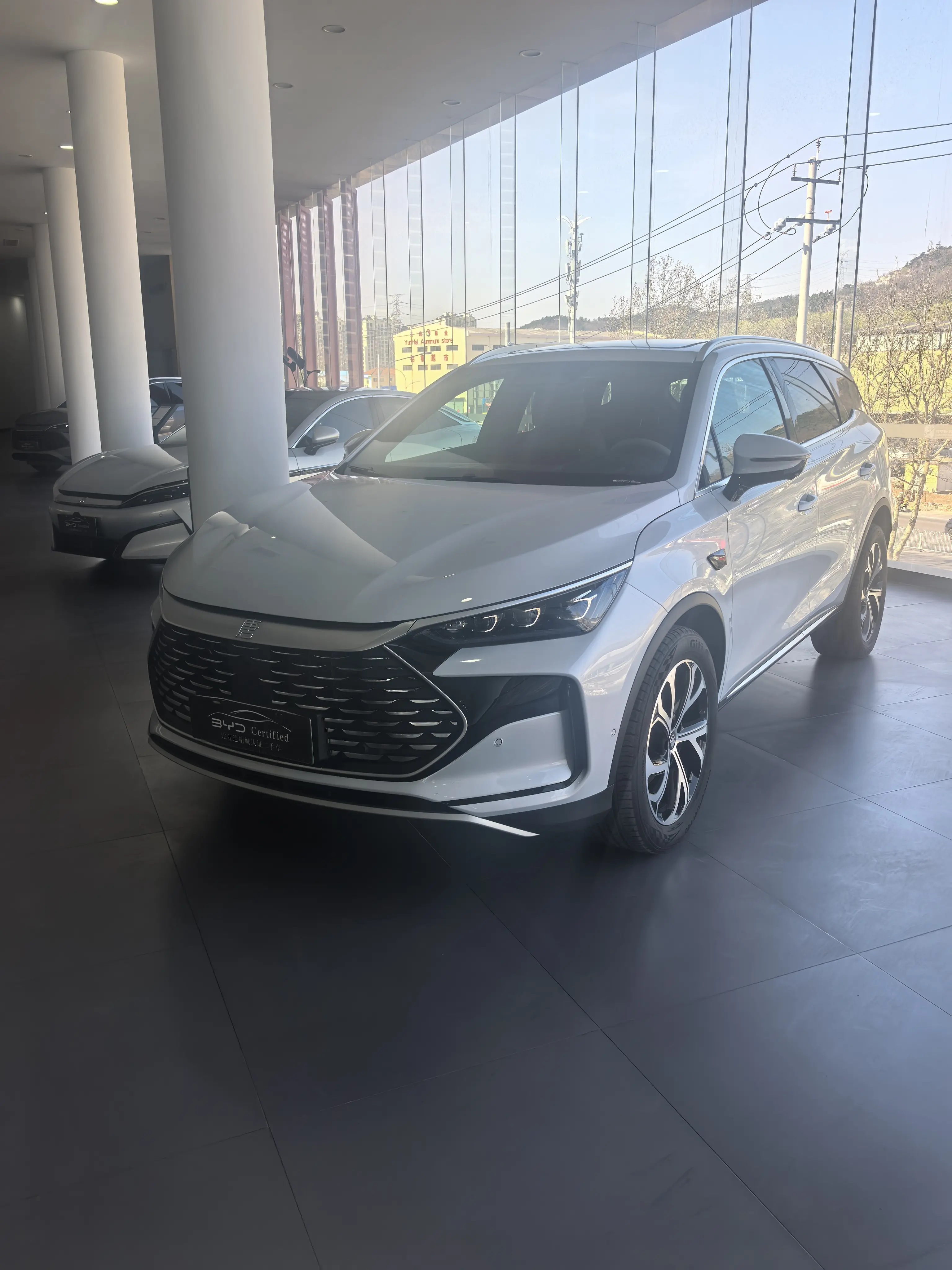 BYD Tang DM