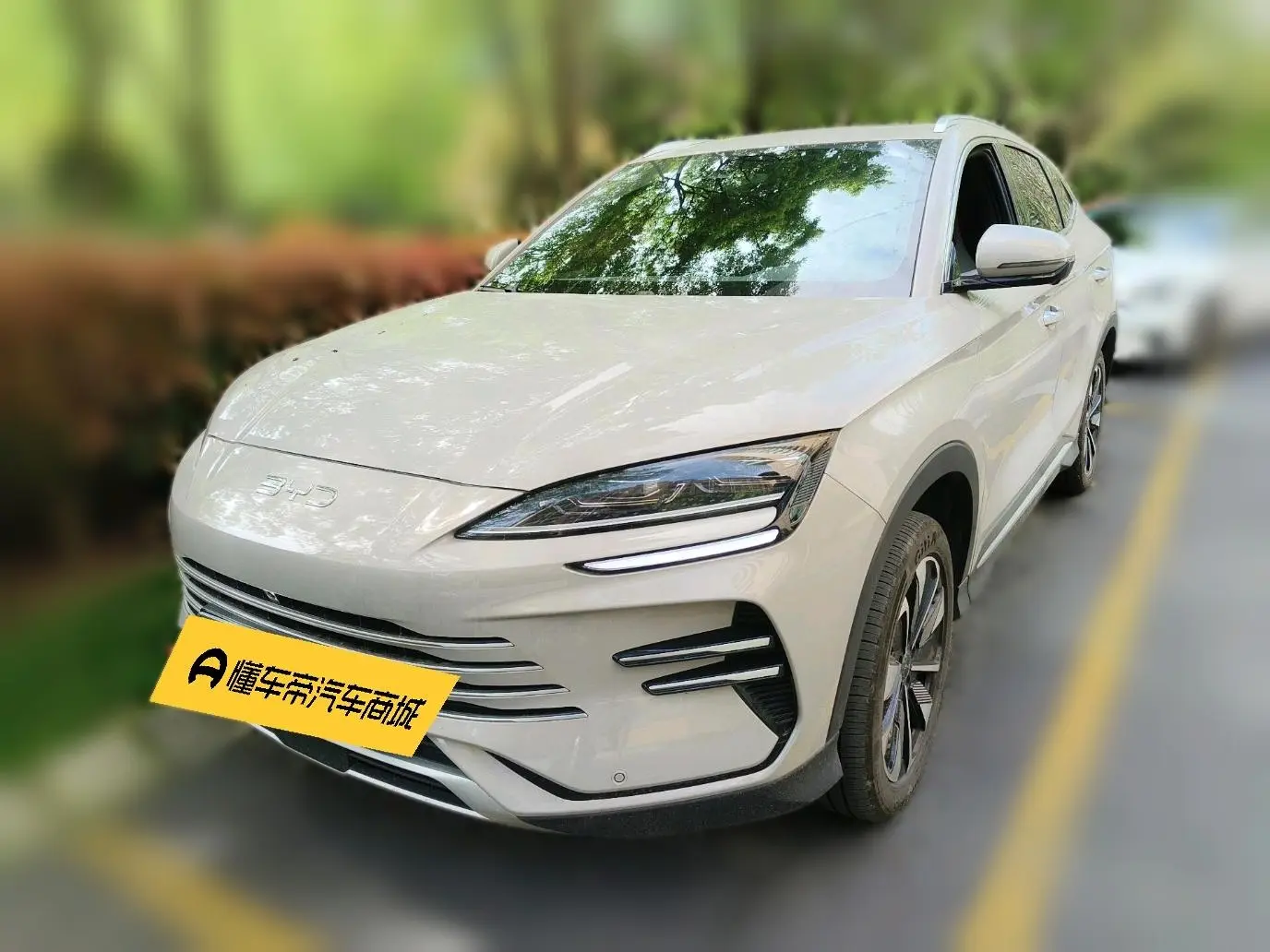 BYD Song PLUS DM