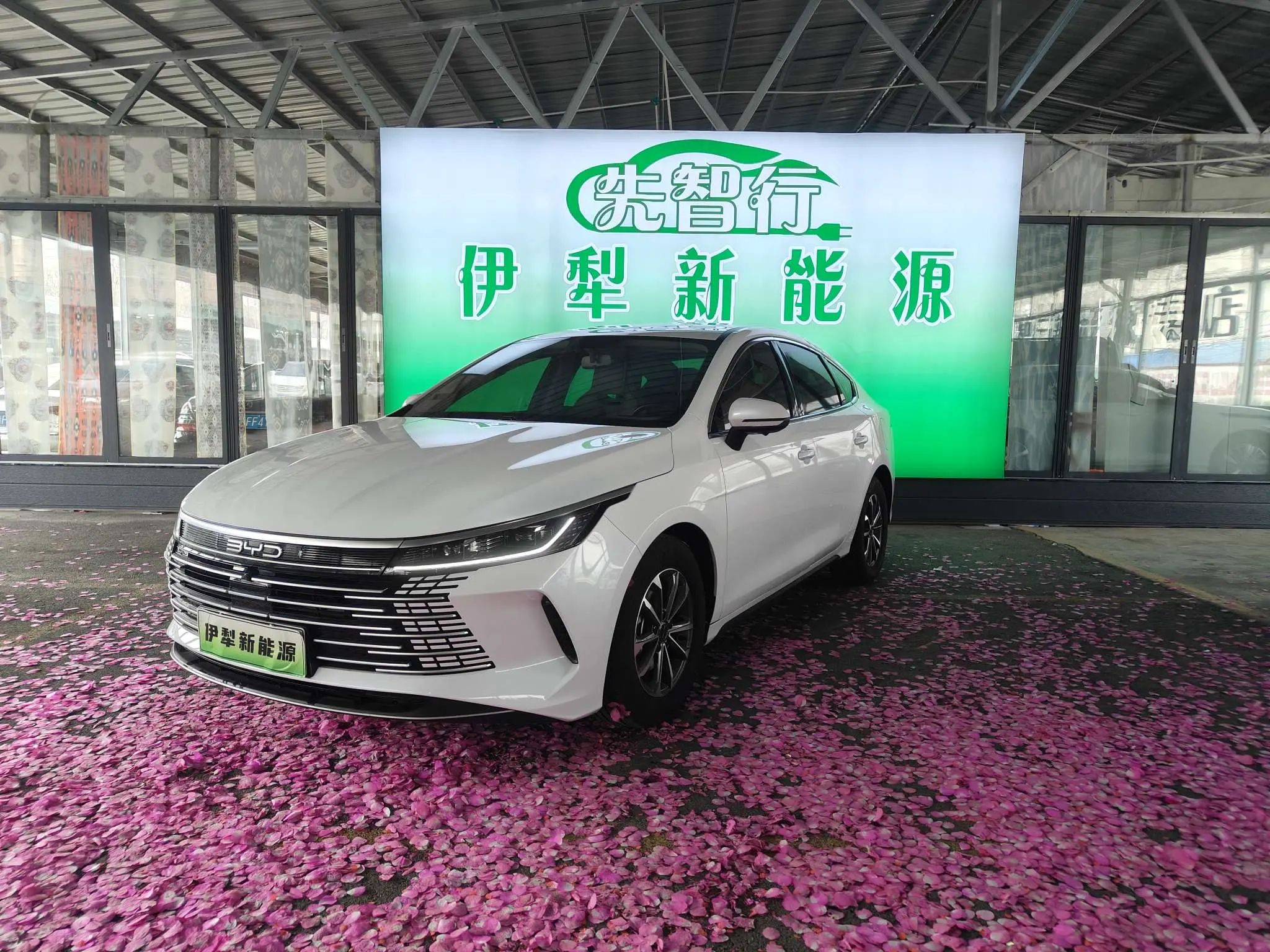 BYD Destroyer 05