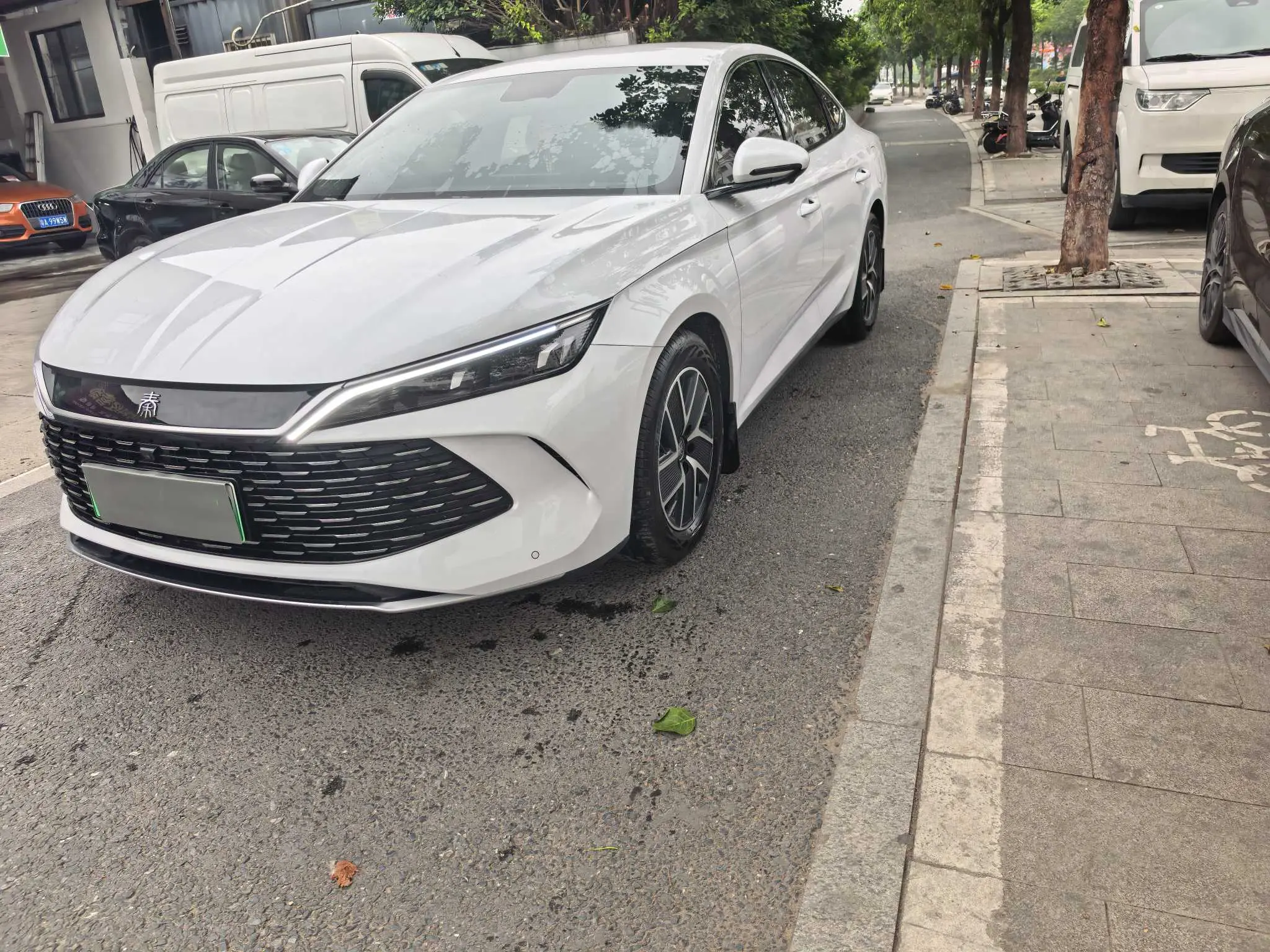BYD Qin L DM